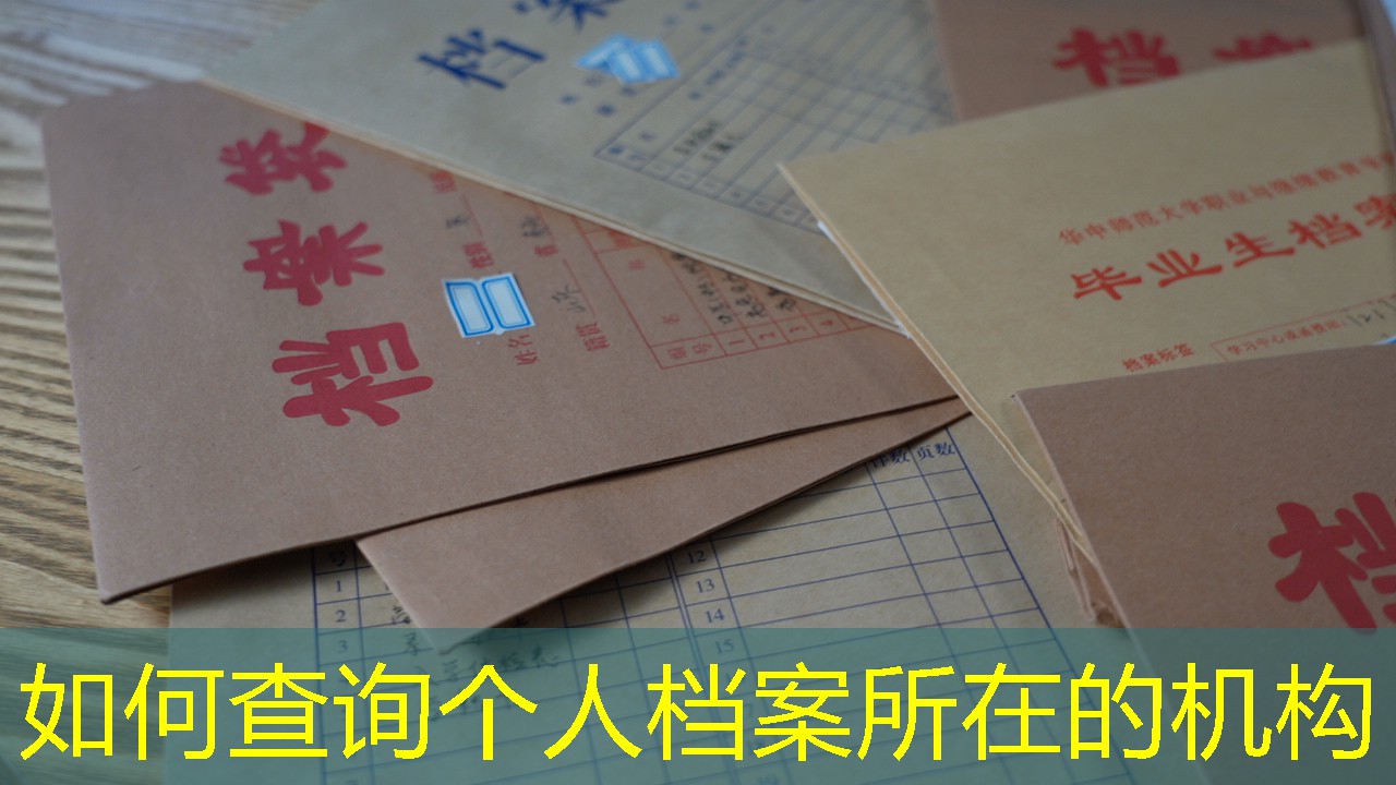 档案查询