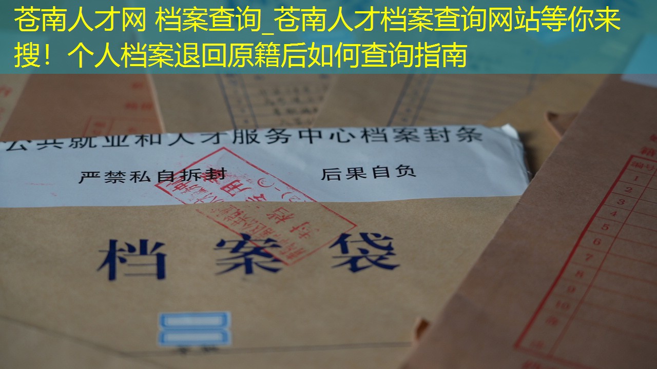 档案查询