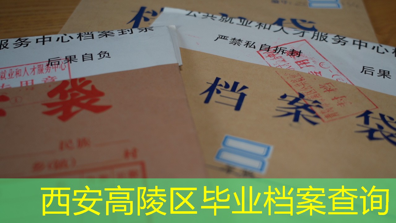 档案查询