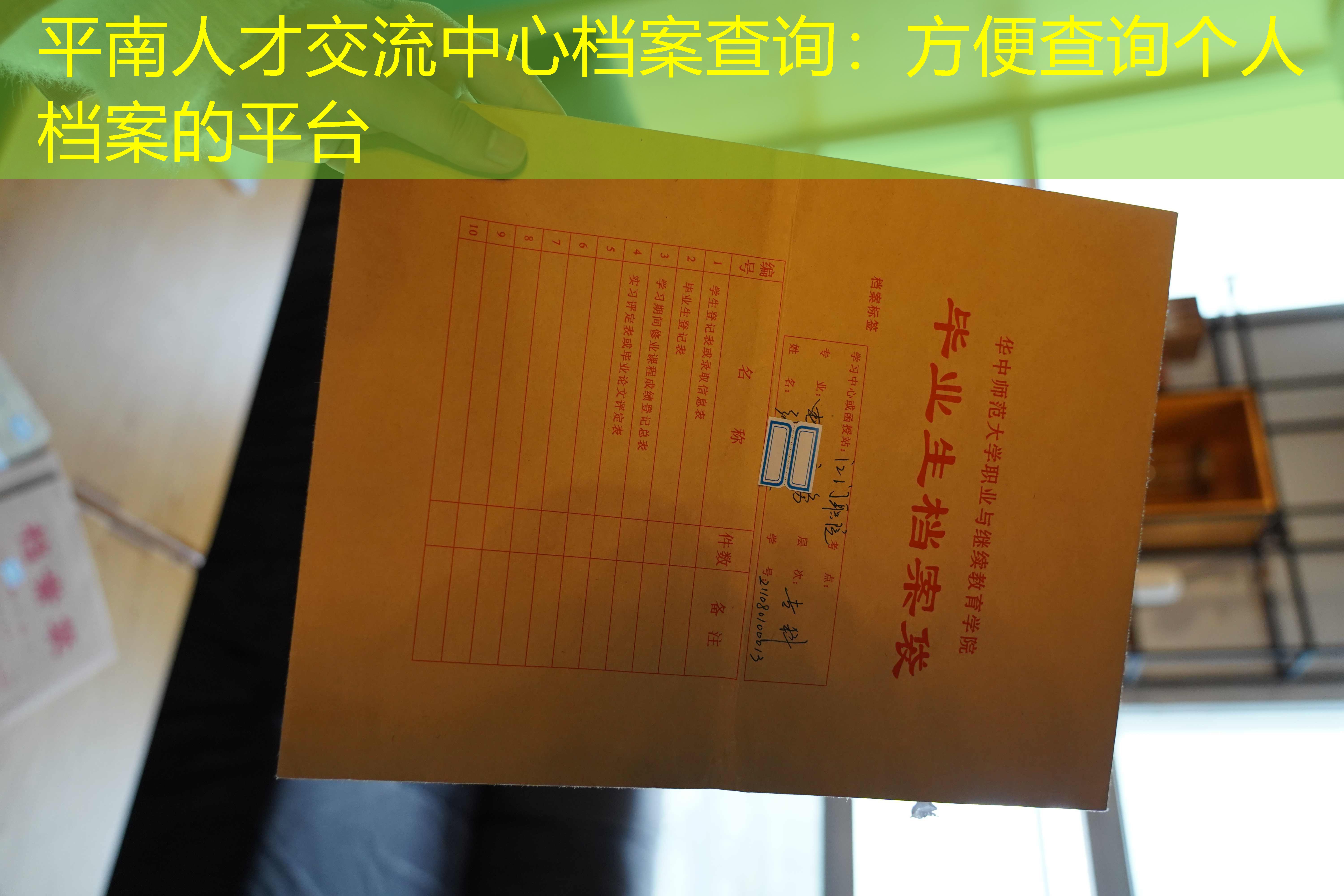 档案查询