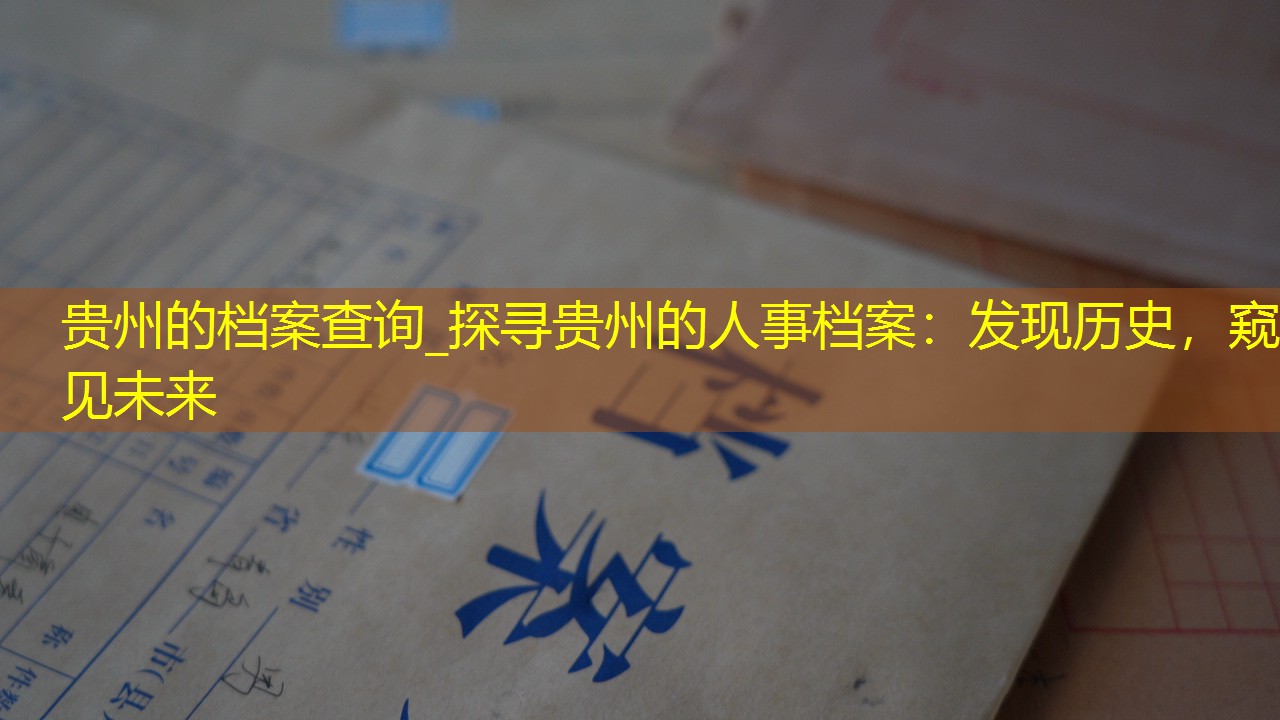 档案查询