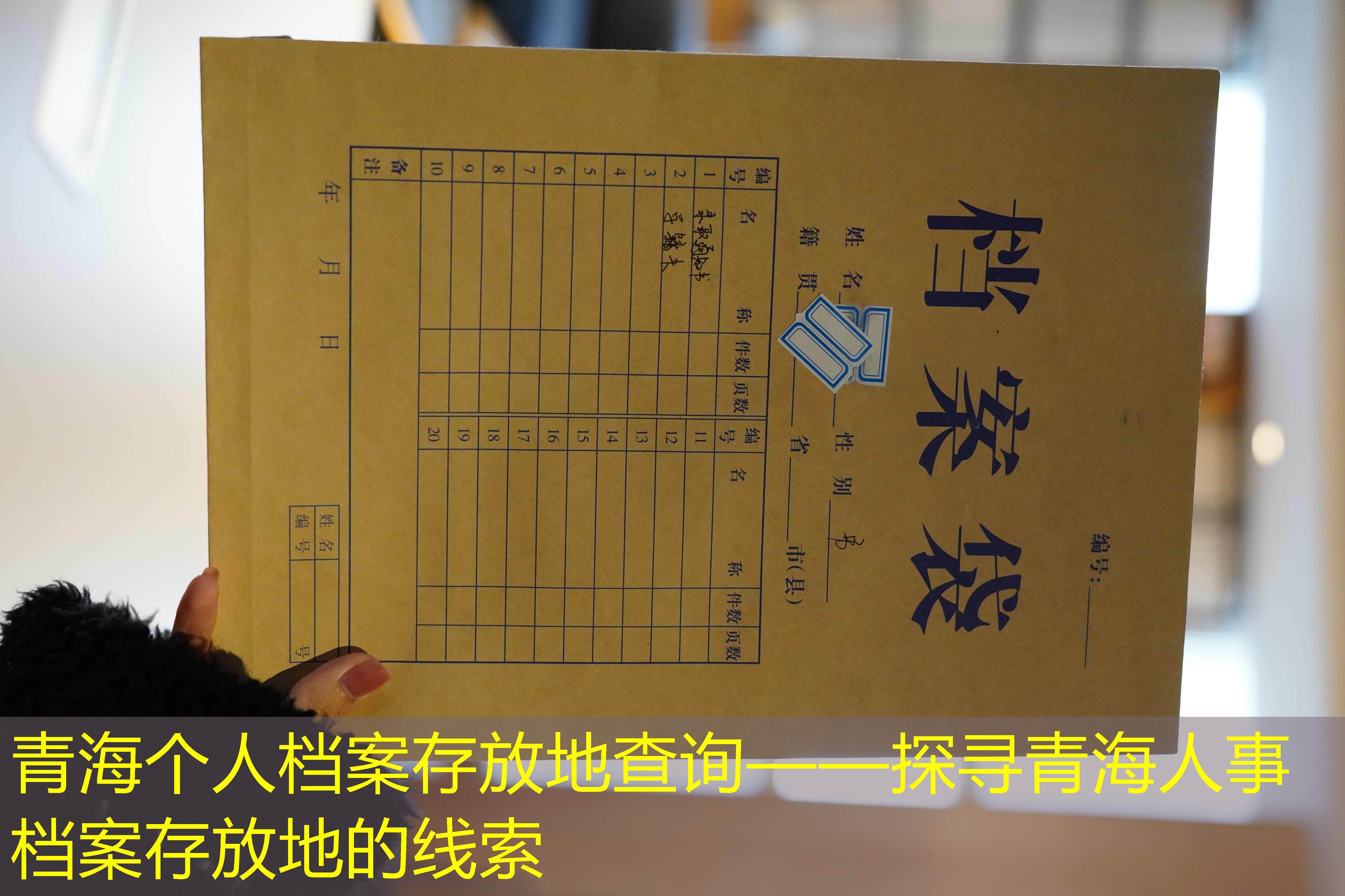 档案查询