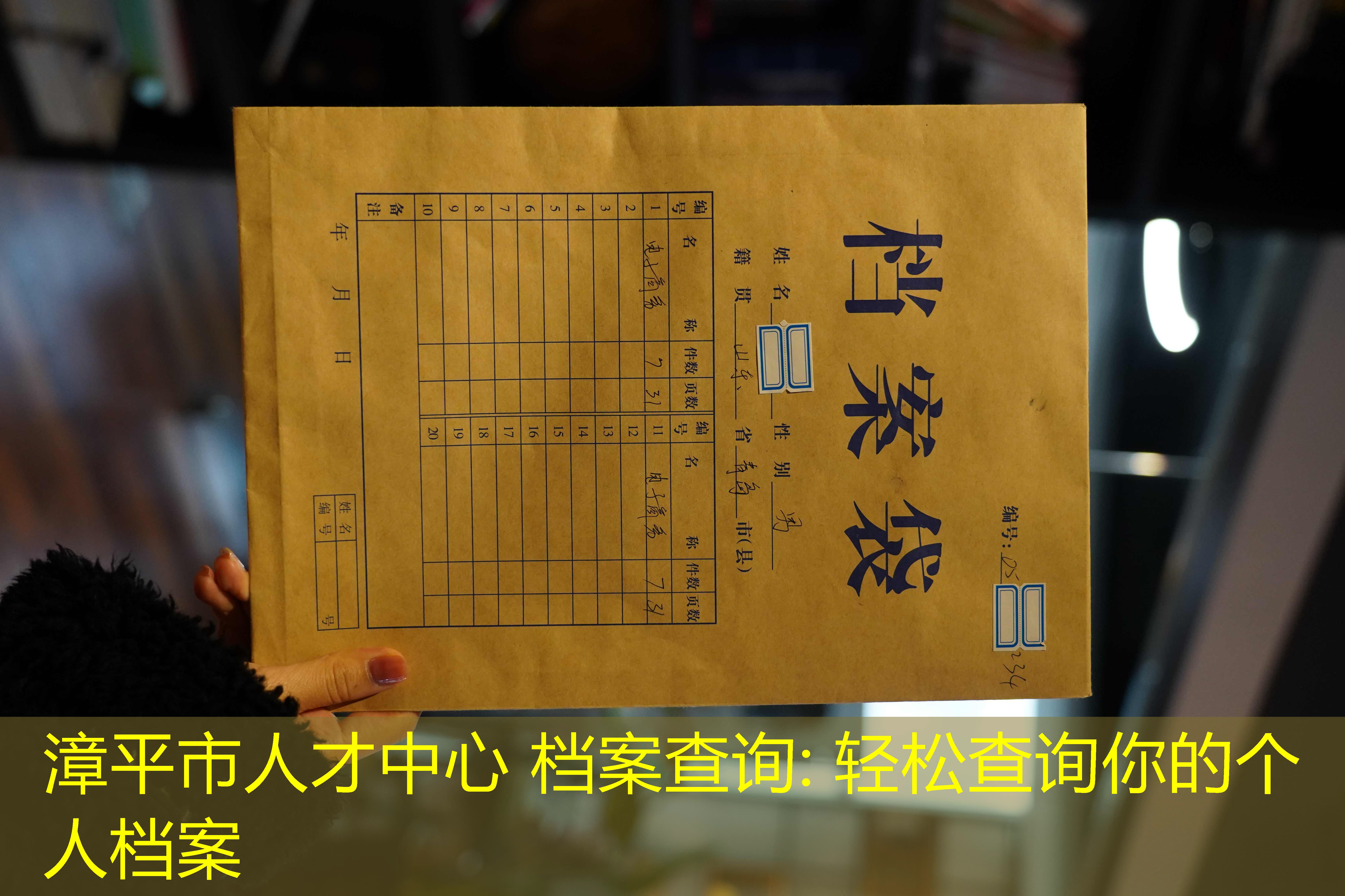 档案查询