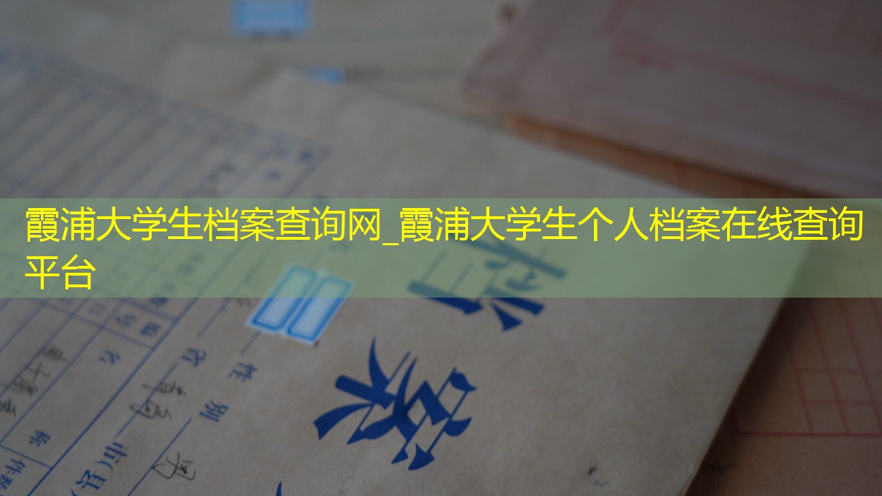 档案查询