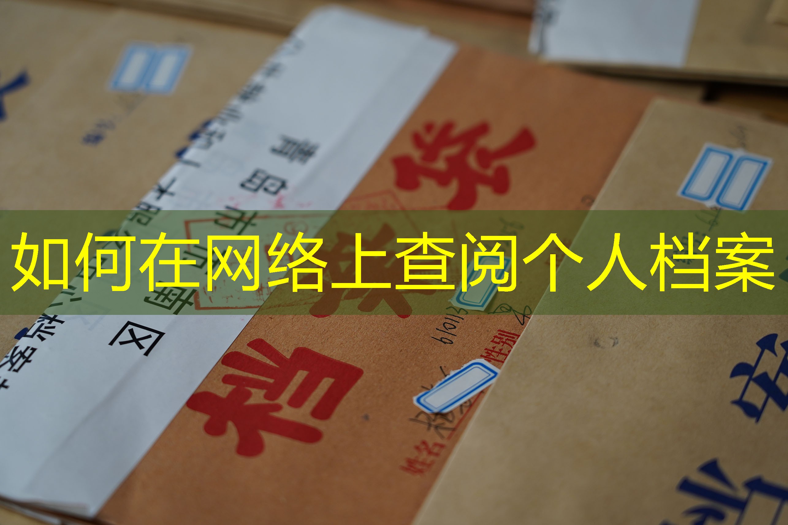 档案查询