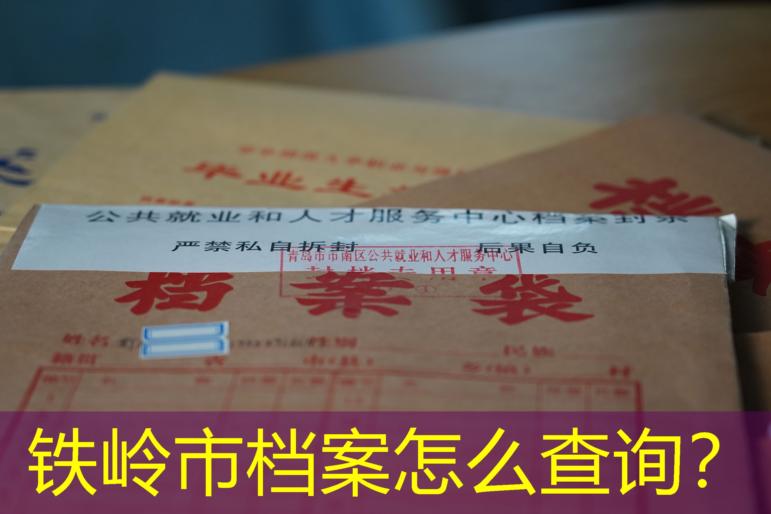 档案查询