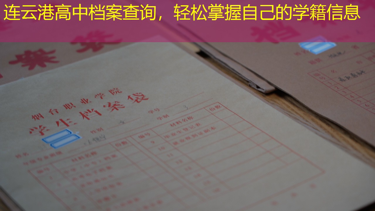 档案查询