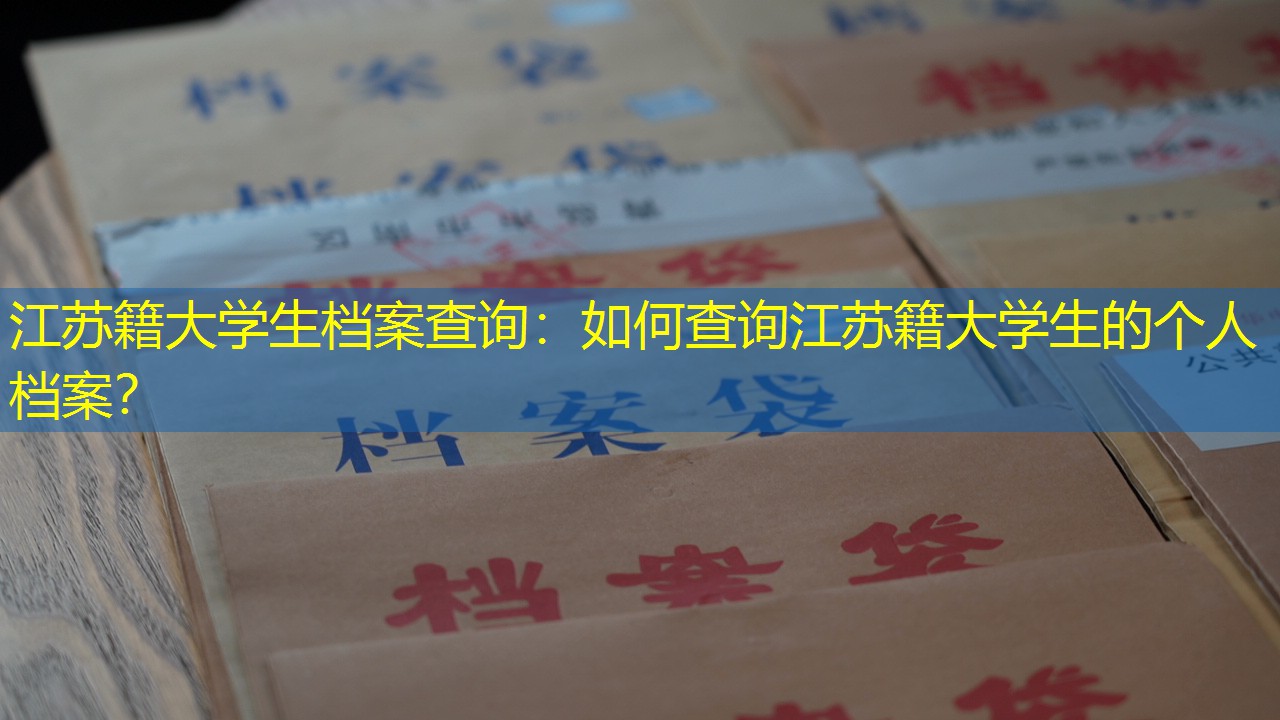 档案查询