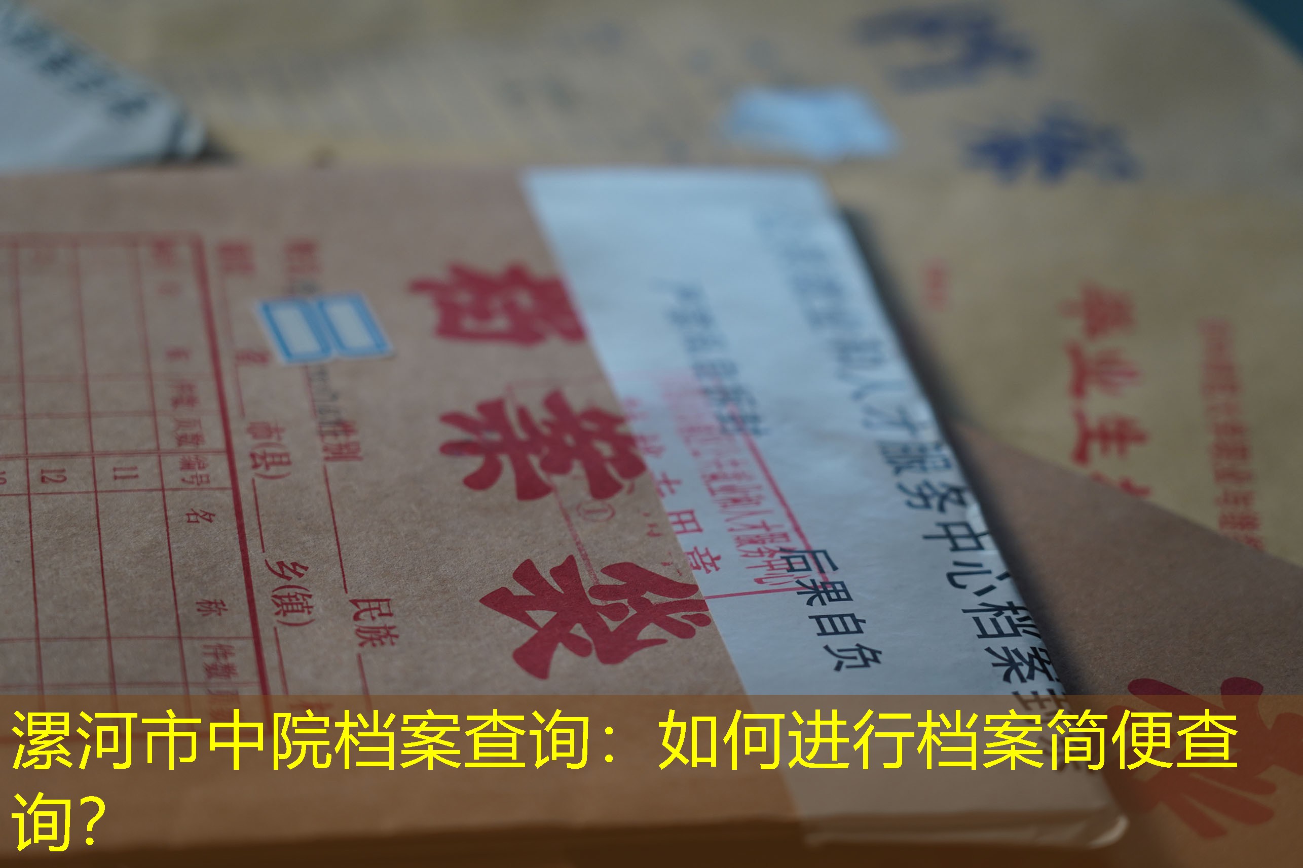 档案查询