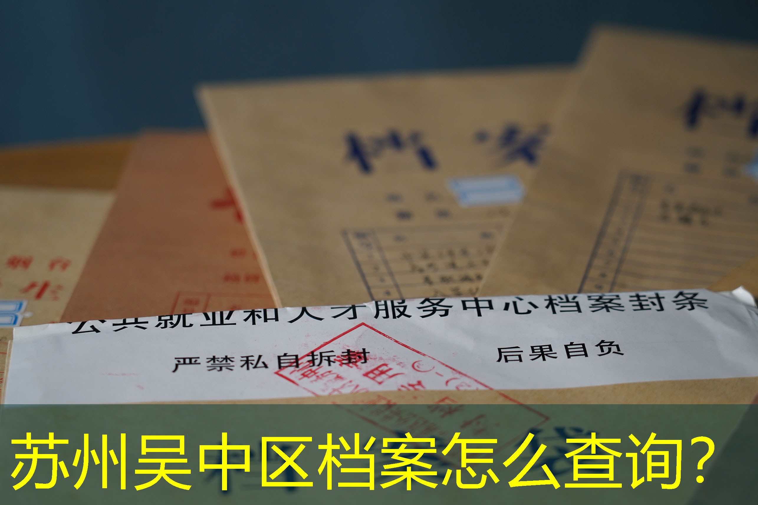 档案查询