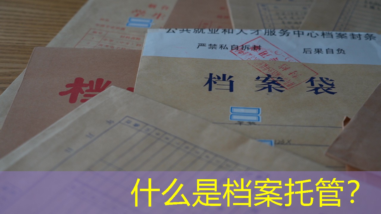档案查询