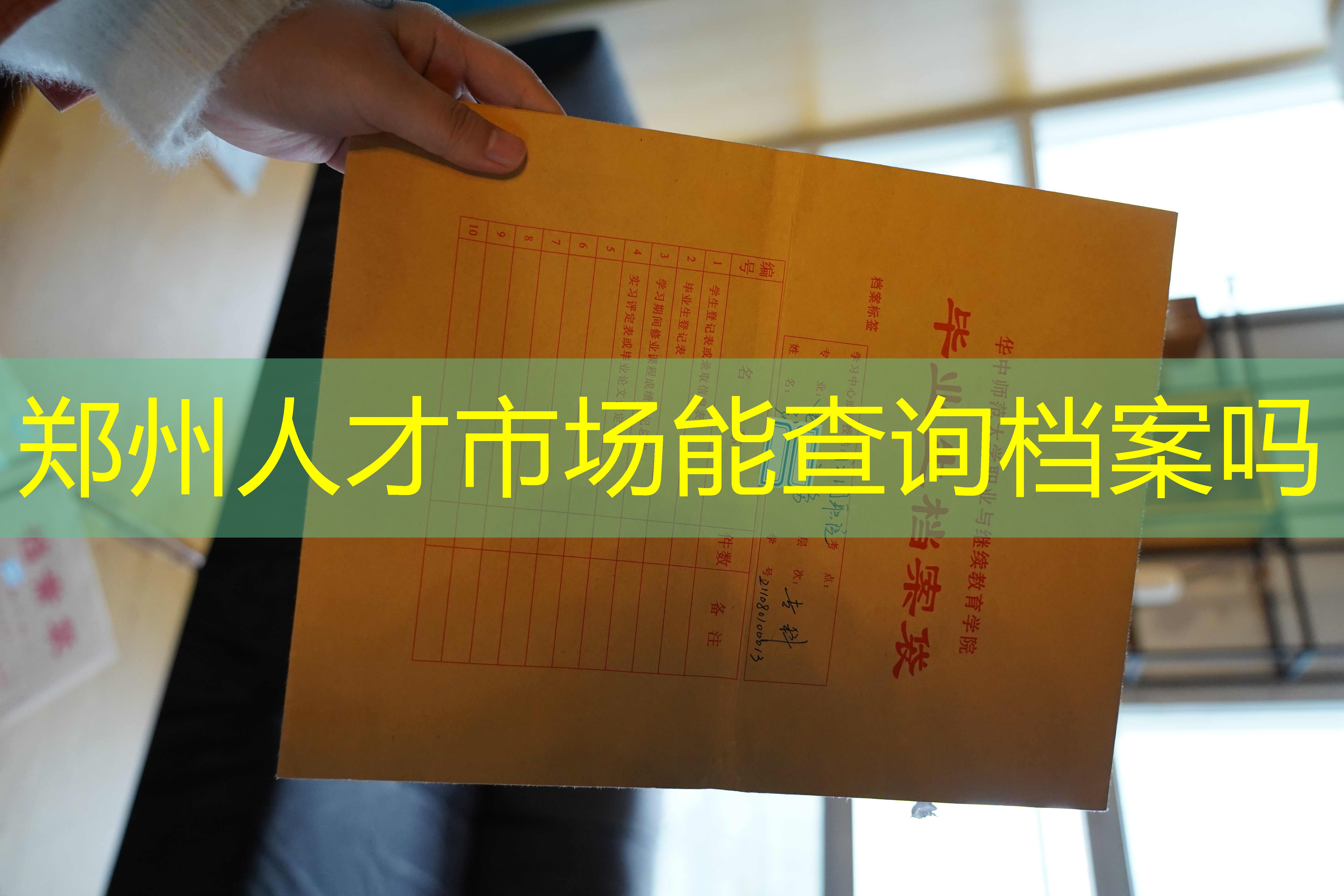 档案查询