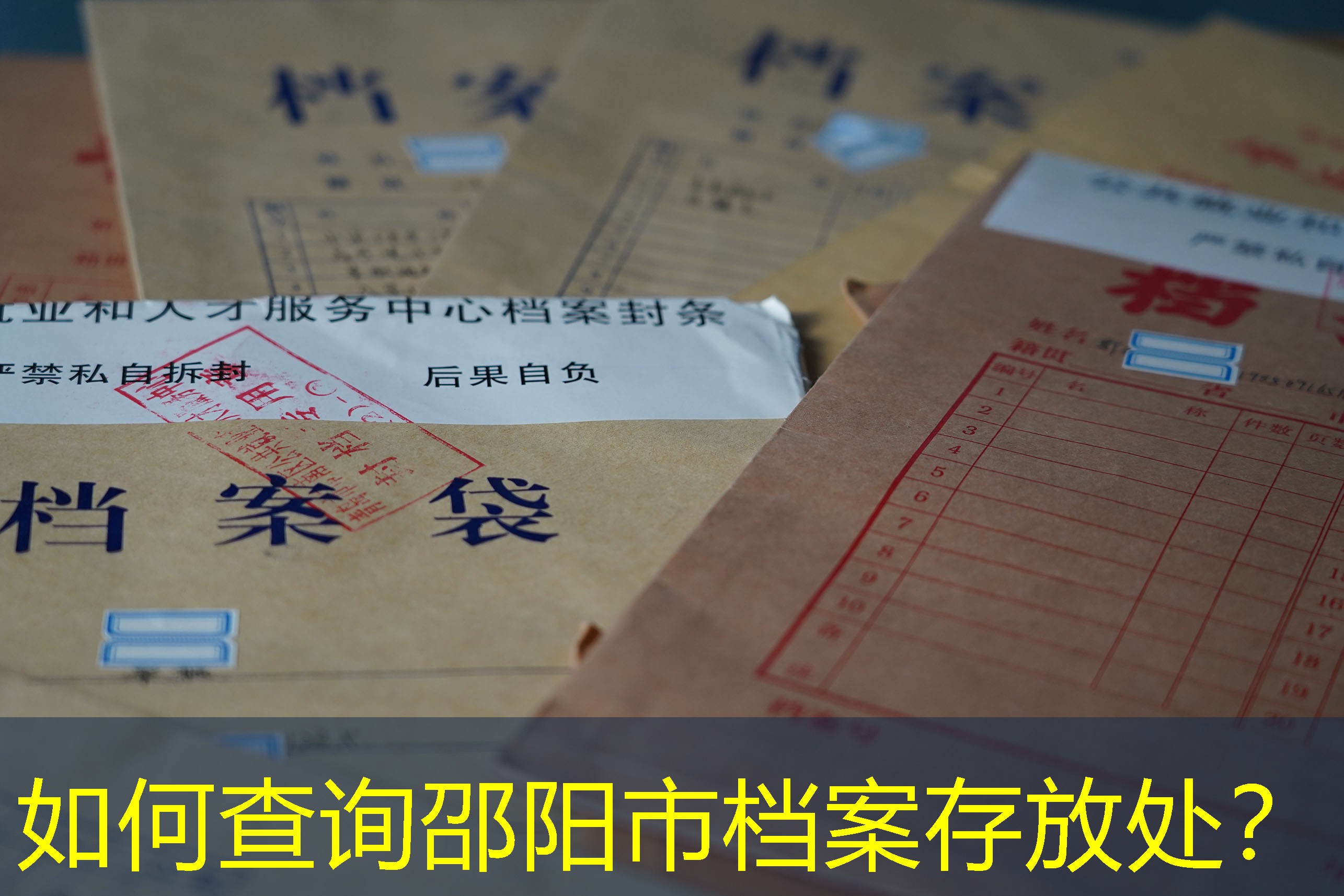 档案查询