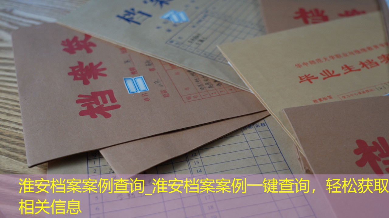 档案查询