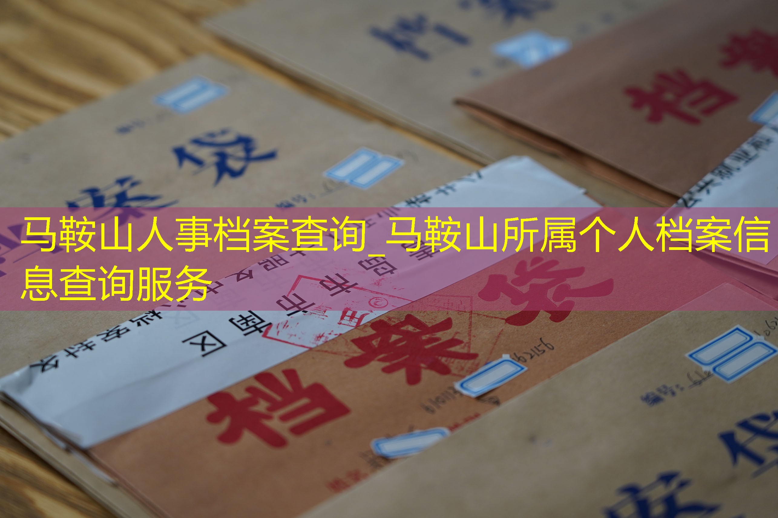 档案查询