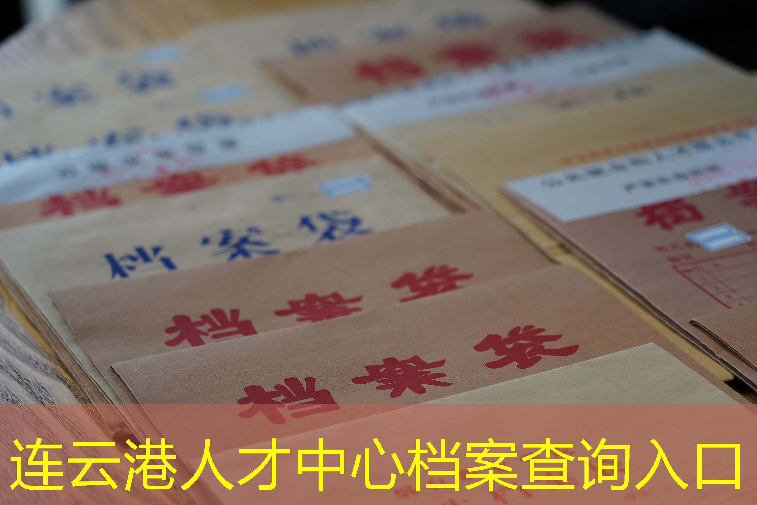 档案查询