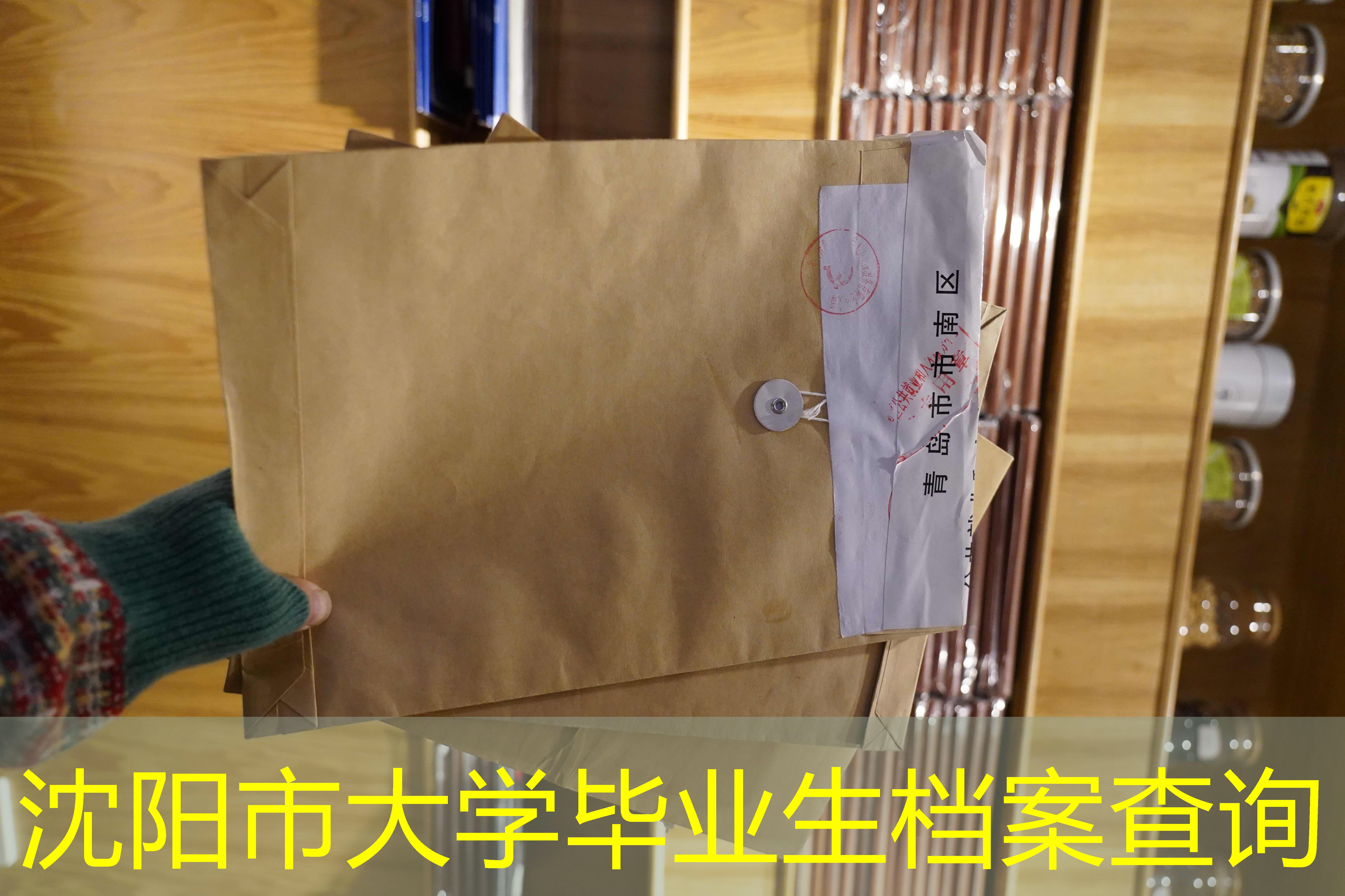 档案查询