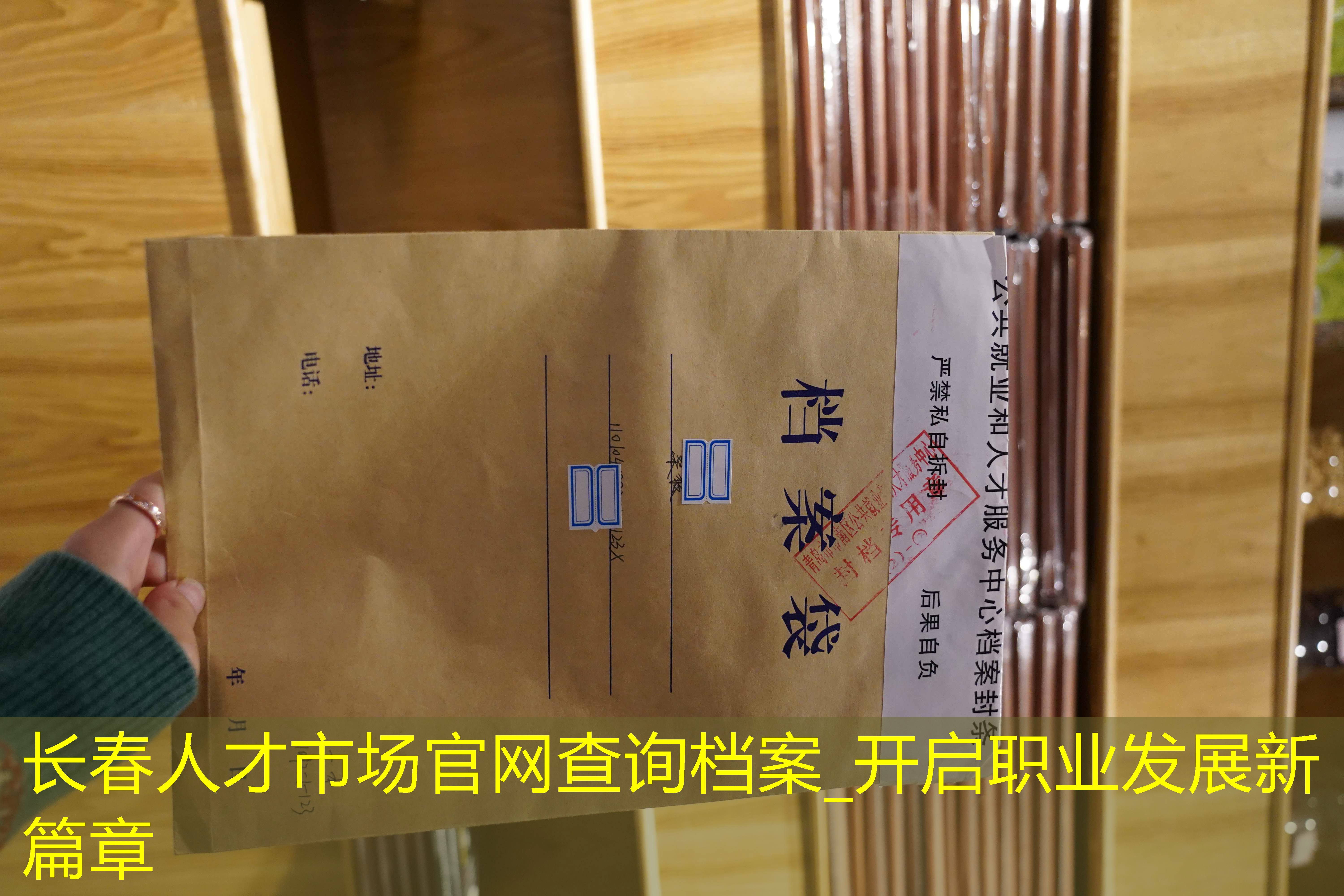 档案查询
