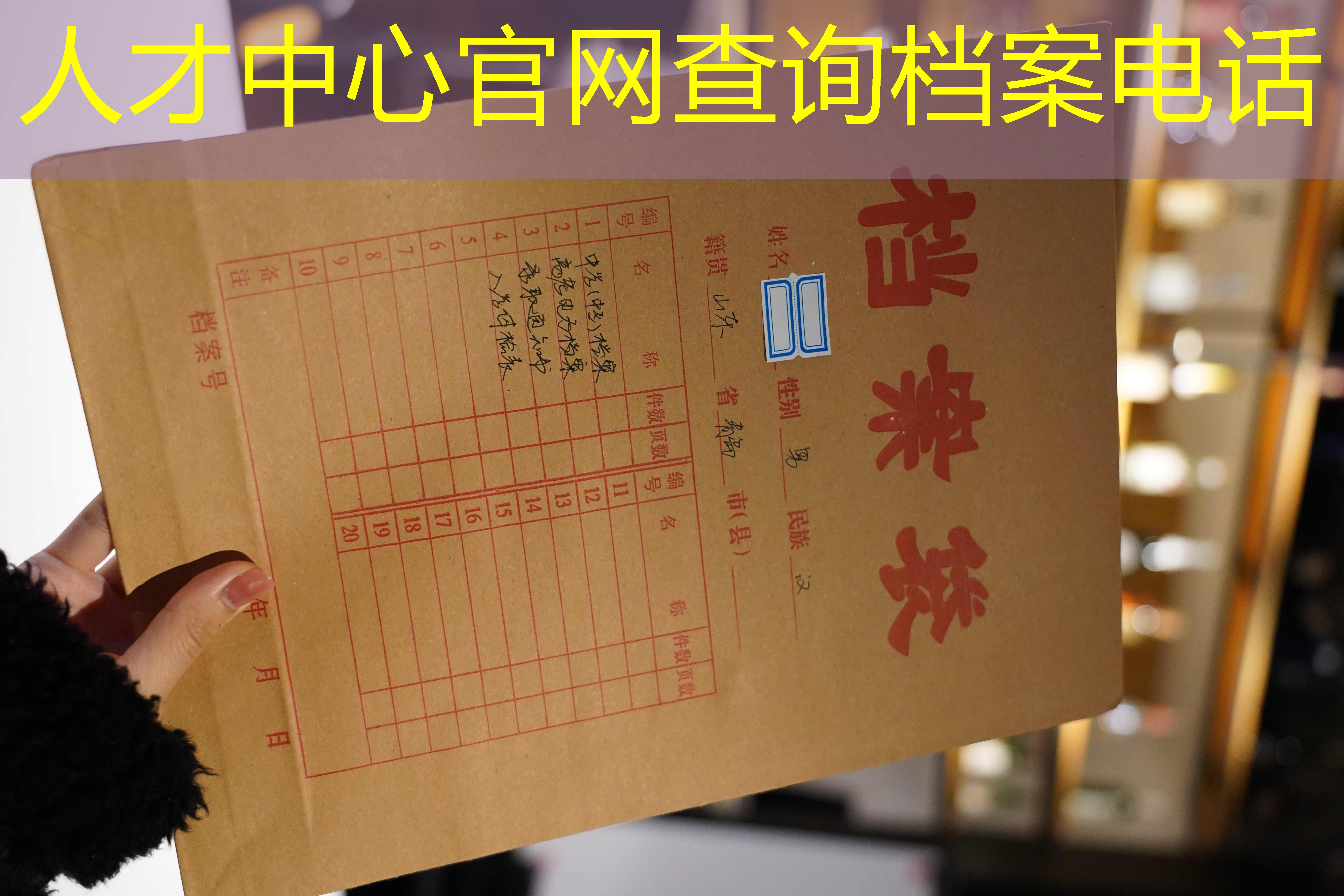 档案查询