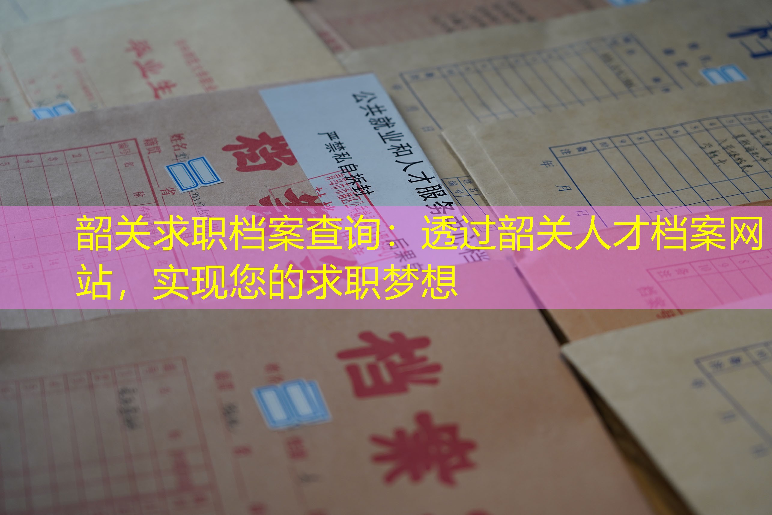 档案查询