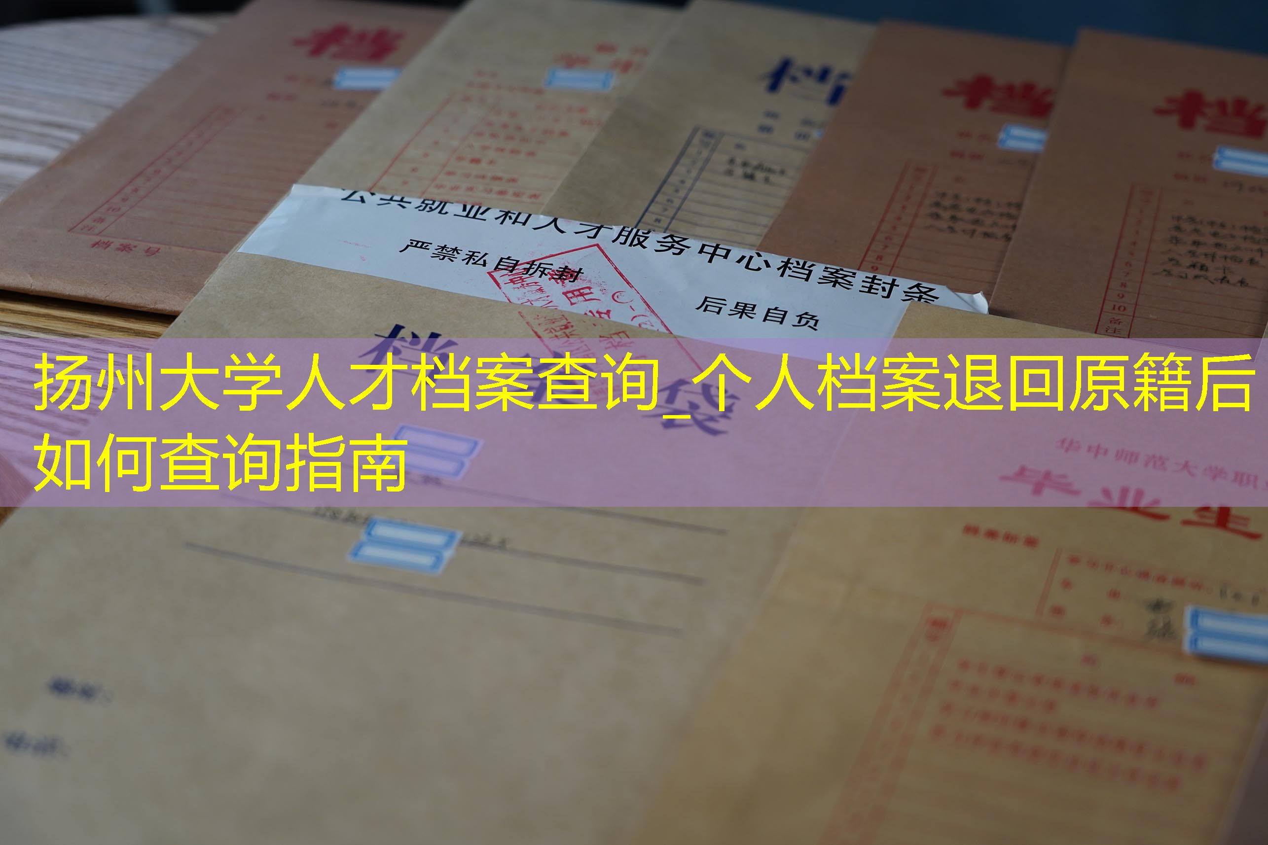 档案查询