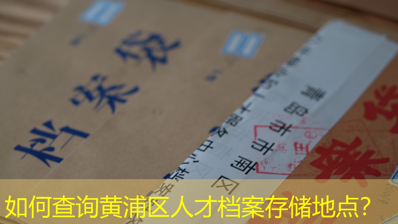 档案查询