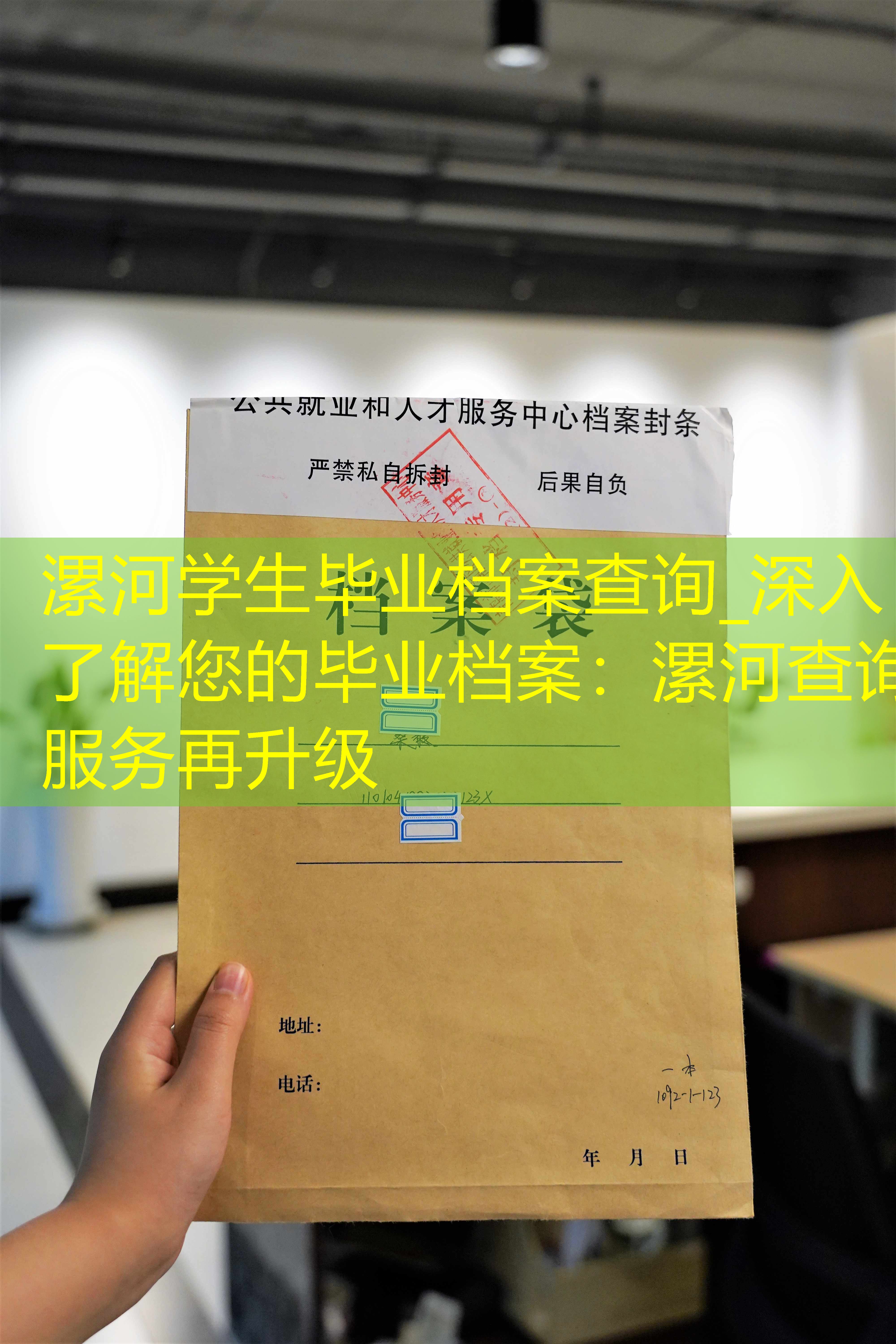 档案查询