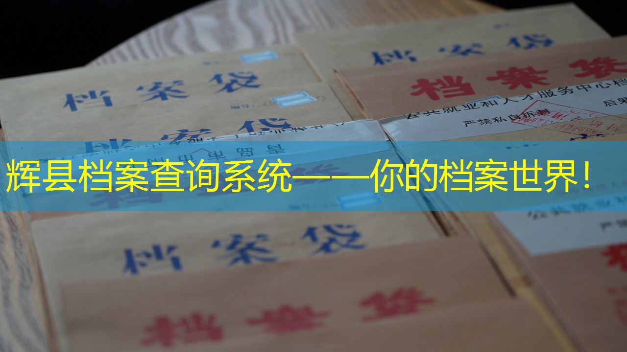 档案查询