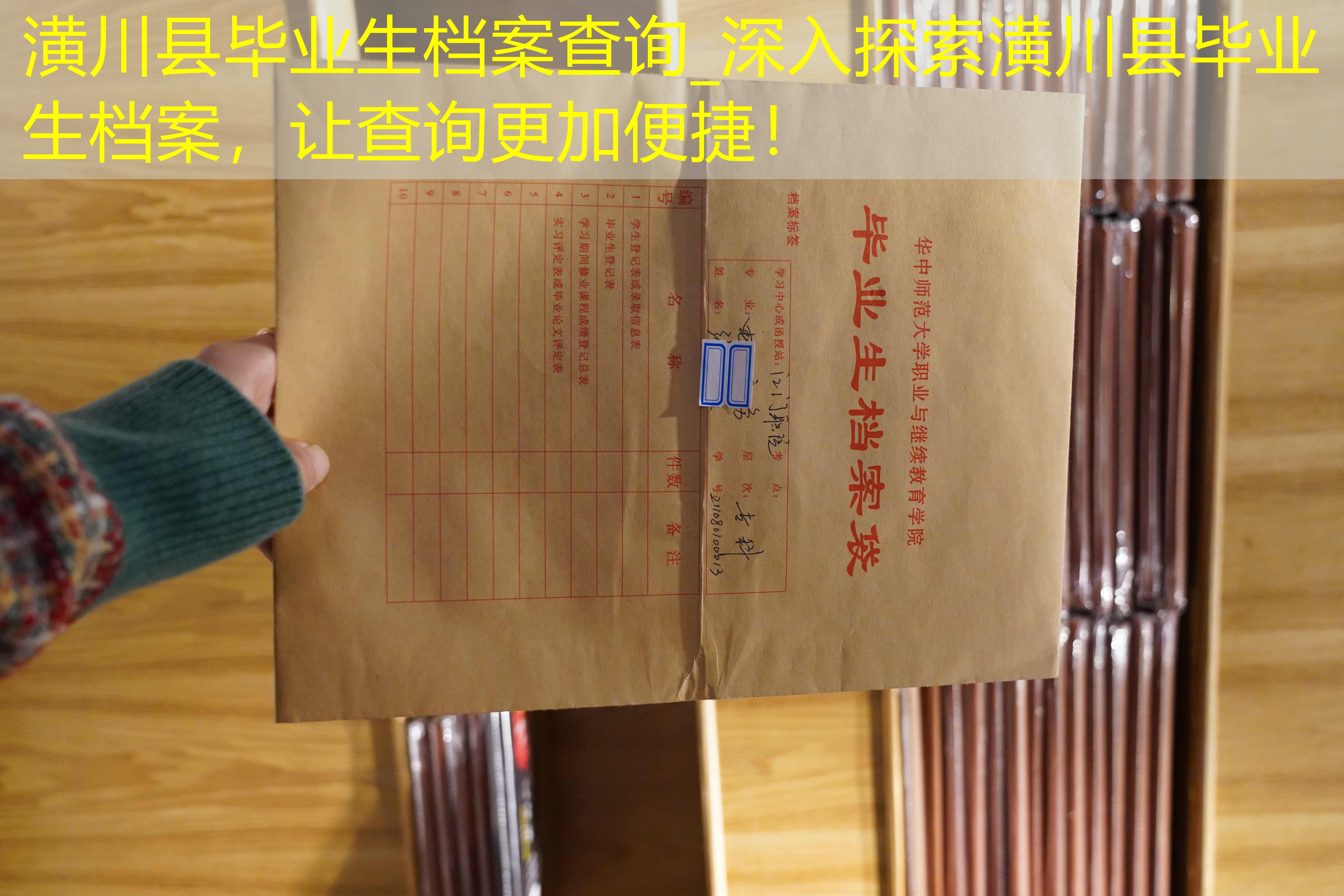 档案查询