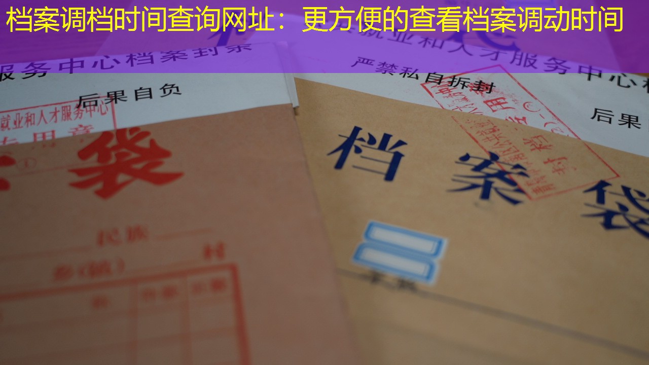 档案查询
