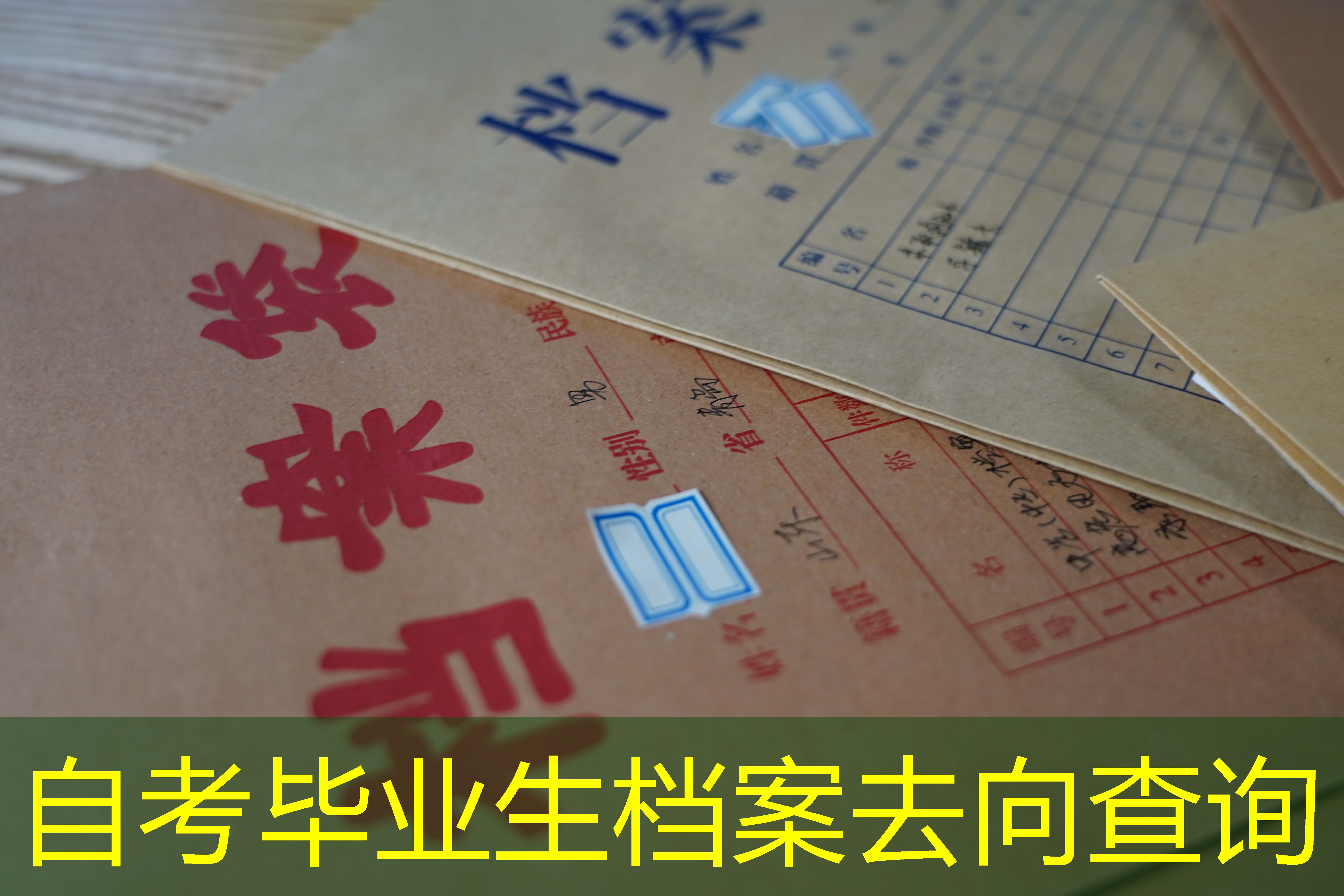 档案查询