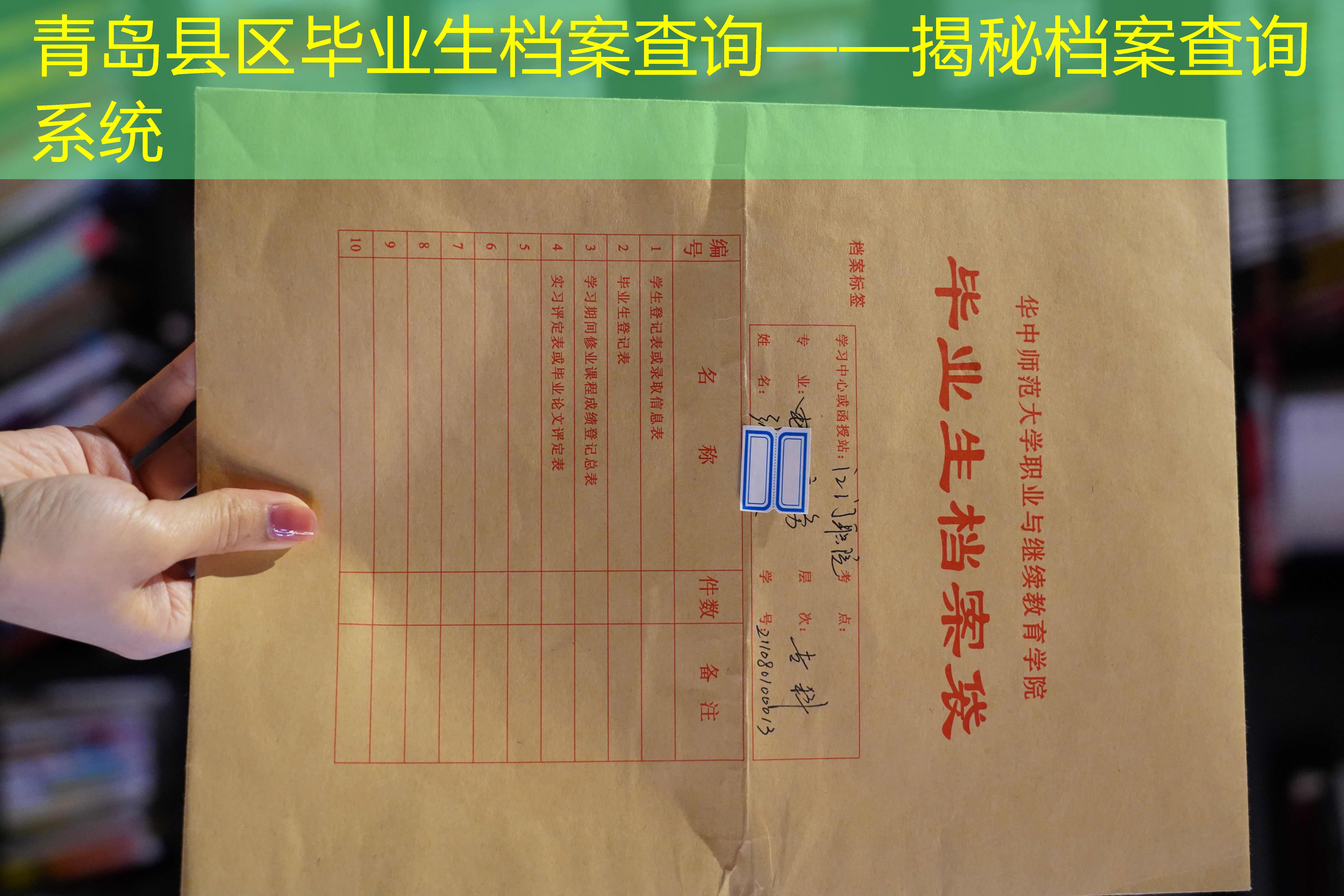 档案查询