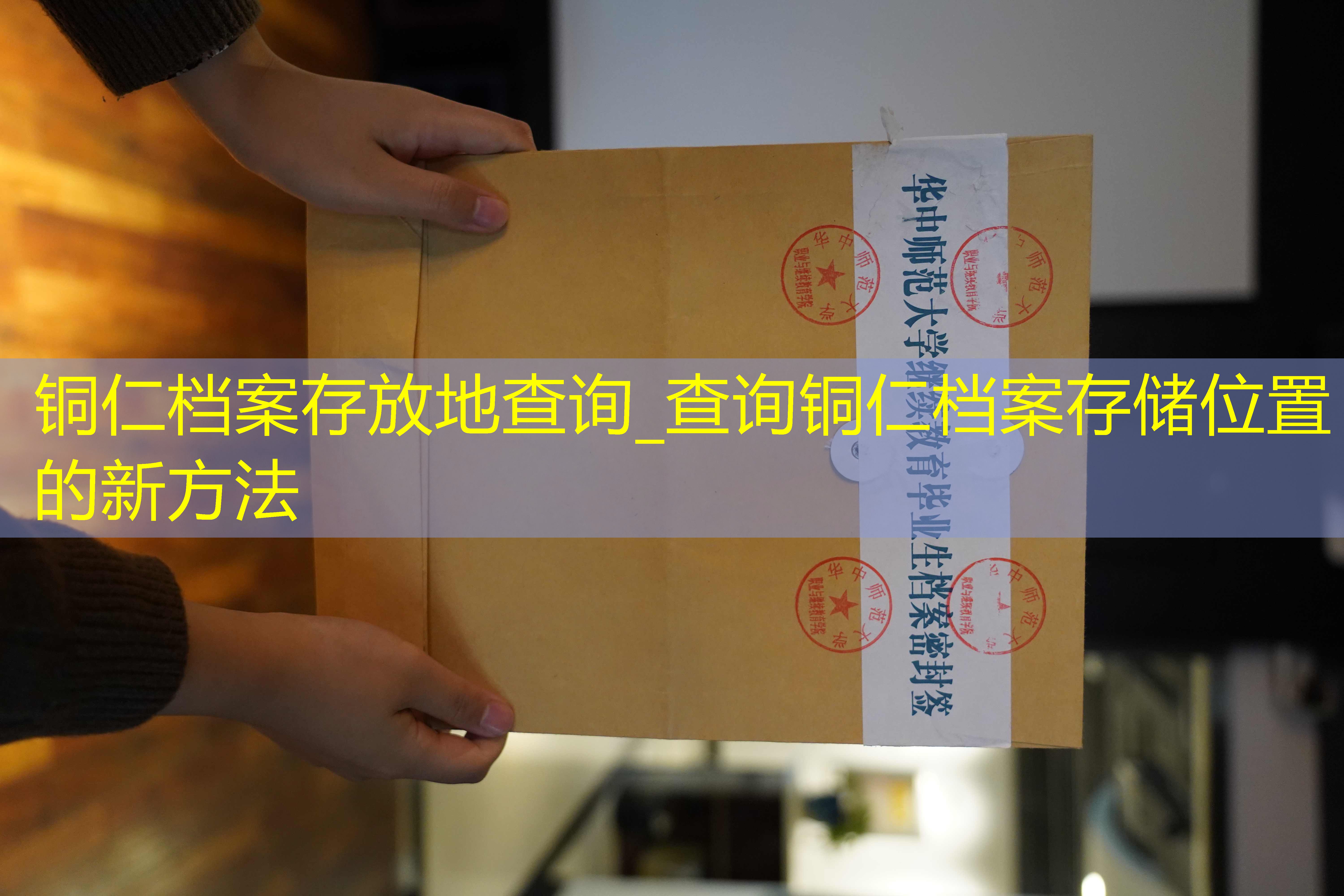 档案查询