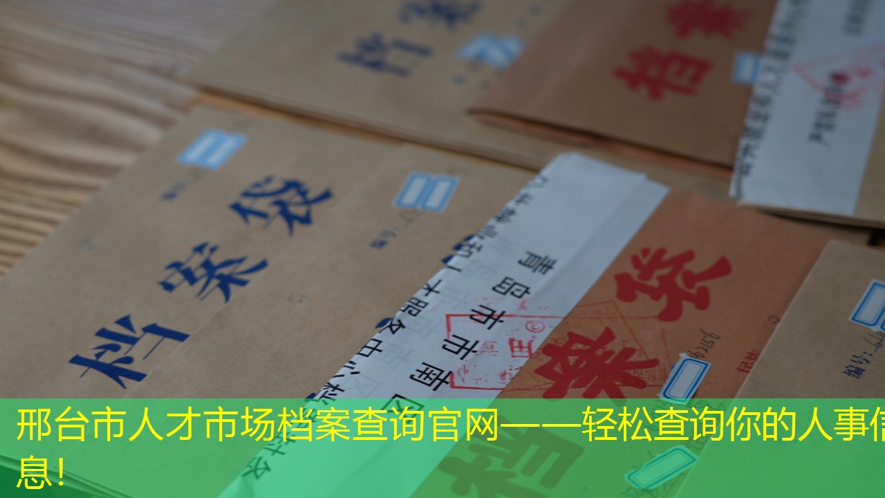档案查询