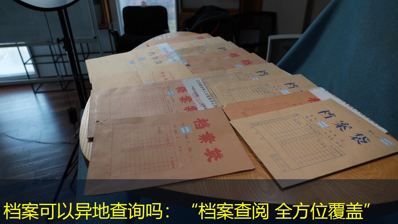 档案查询