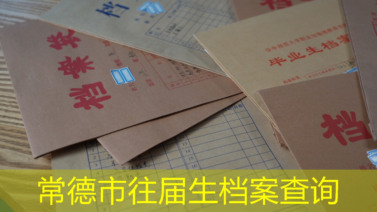 档案查询