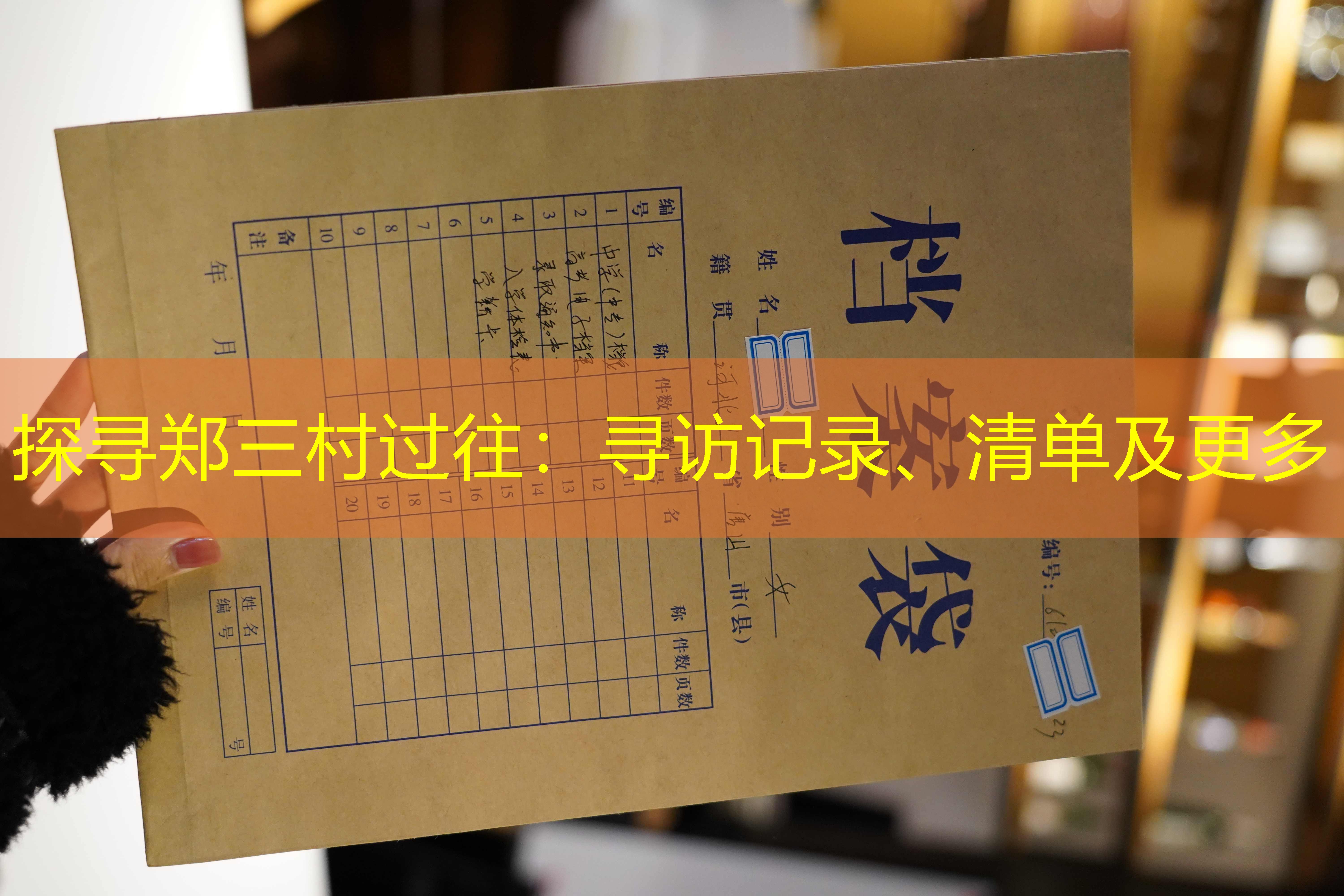 档案查询