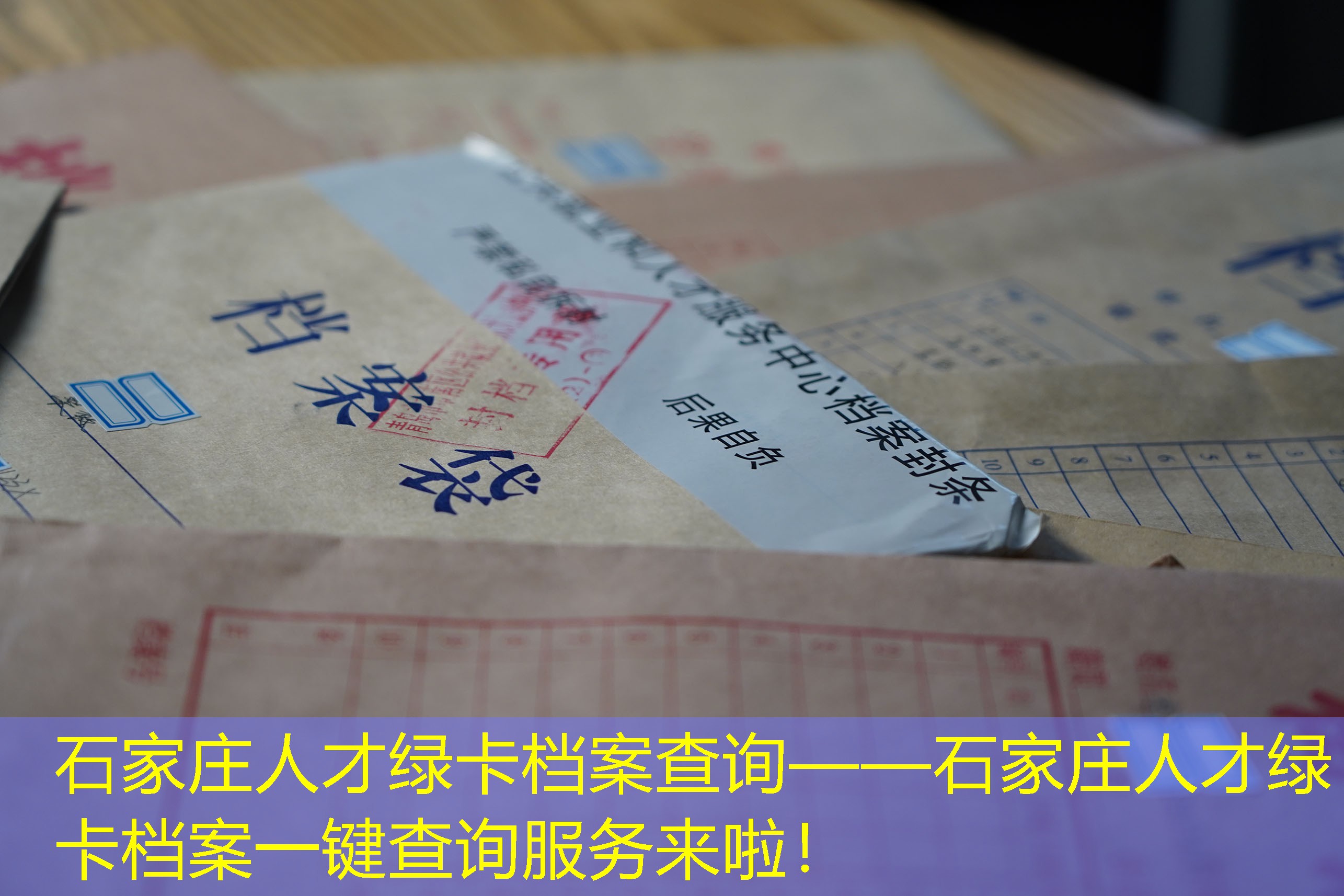 档案查询