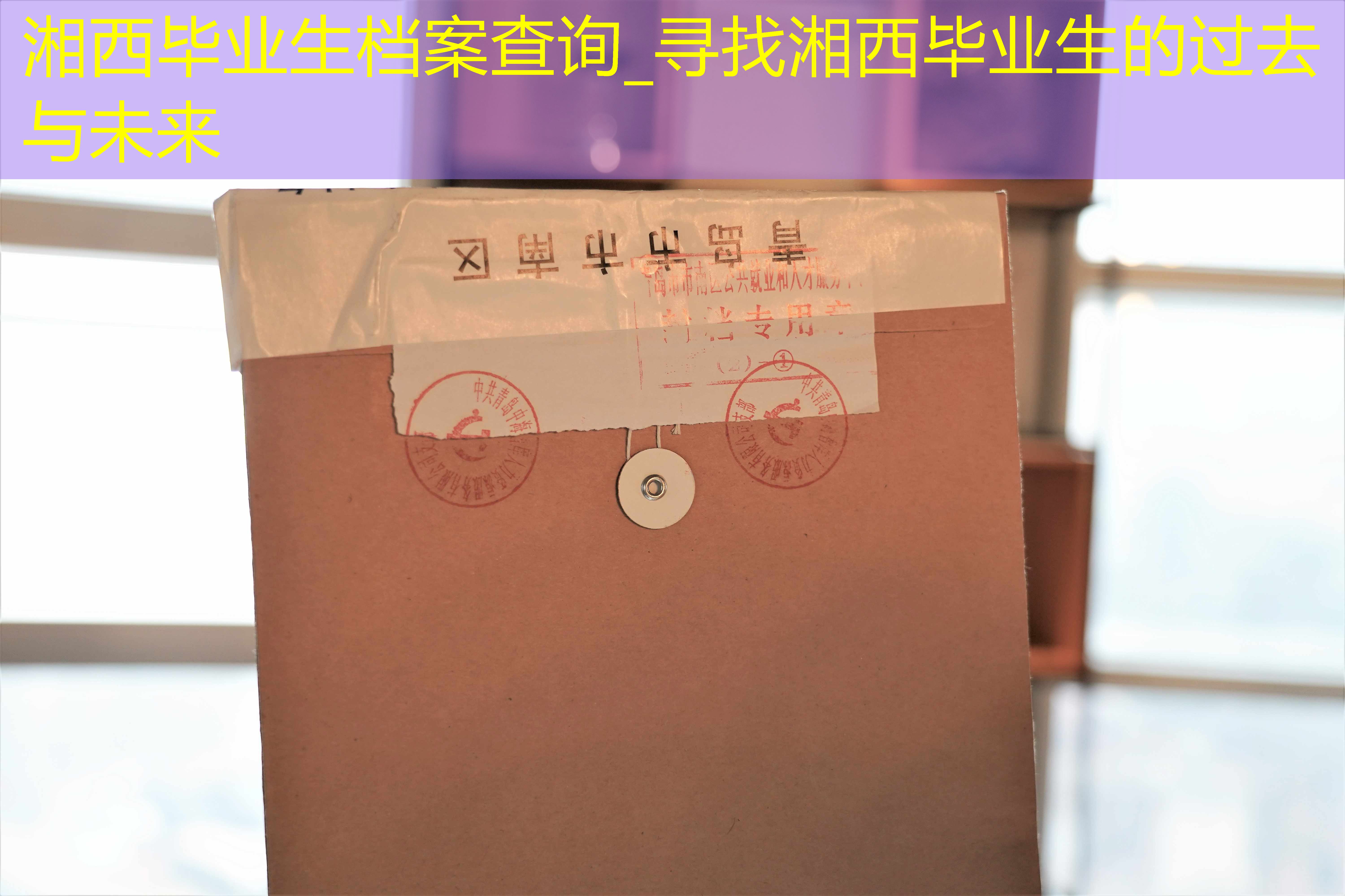 档案查询