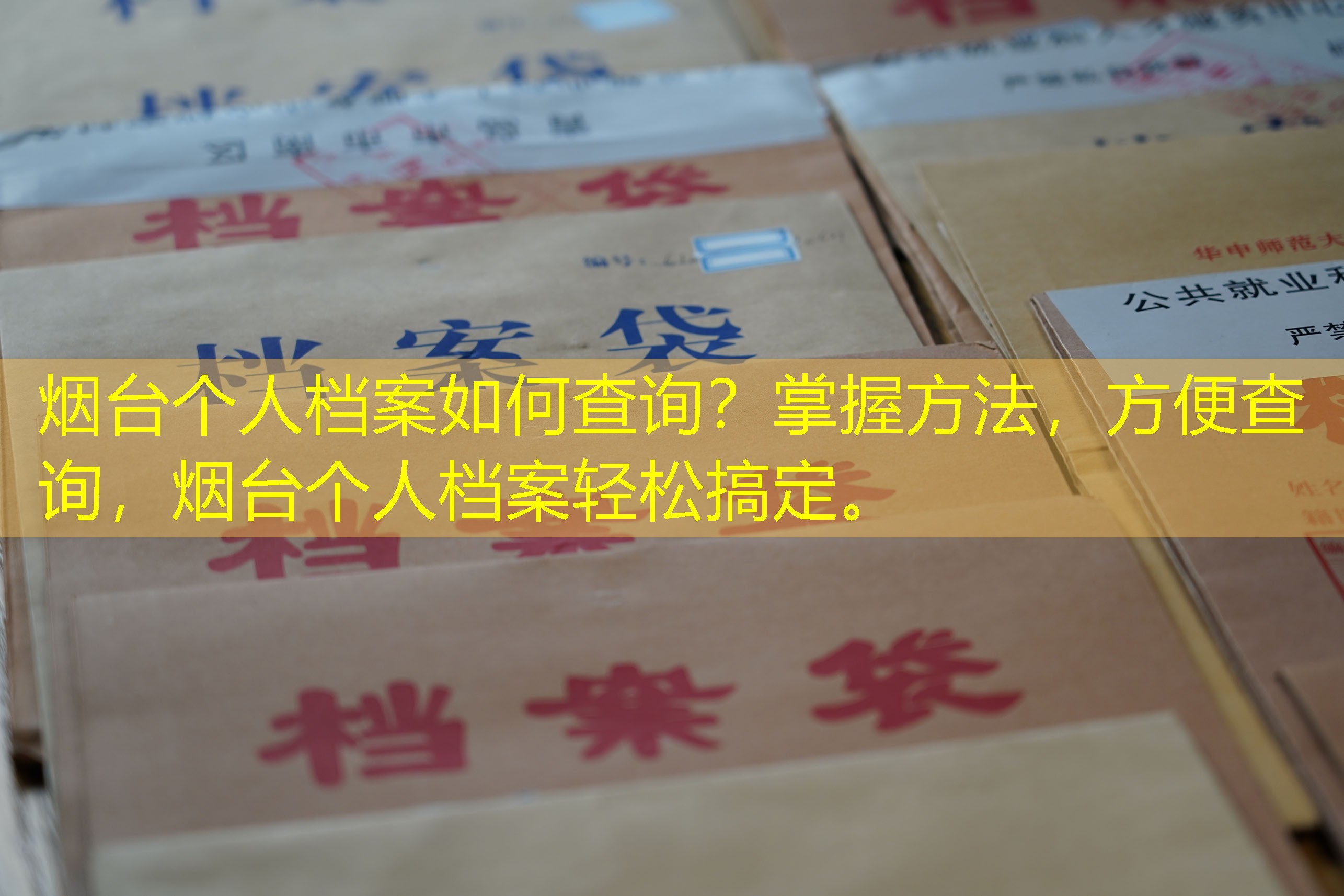 档案查询