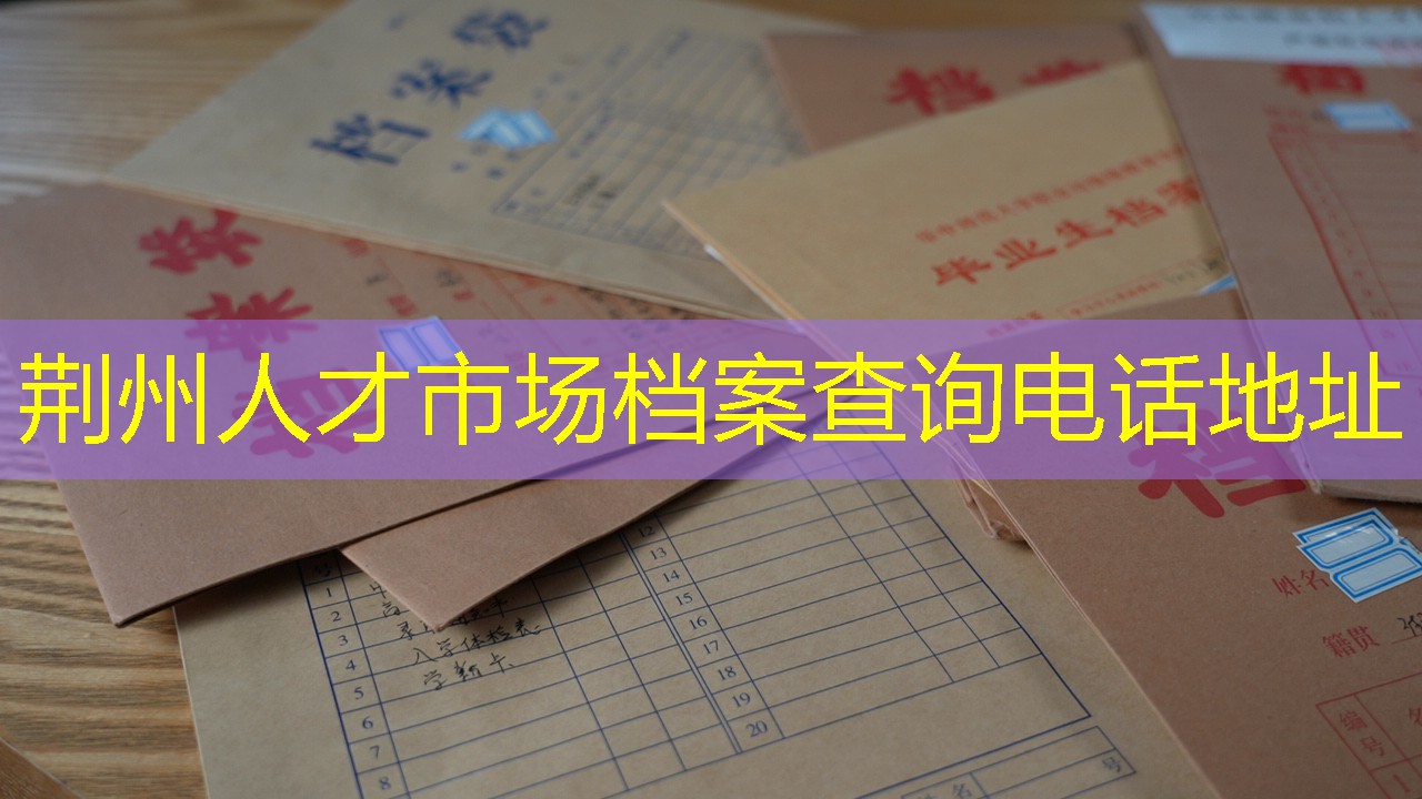 档案查询