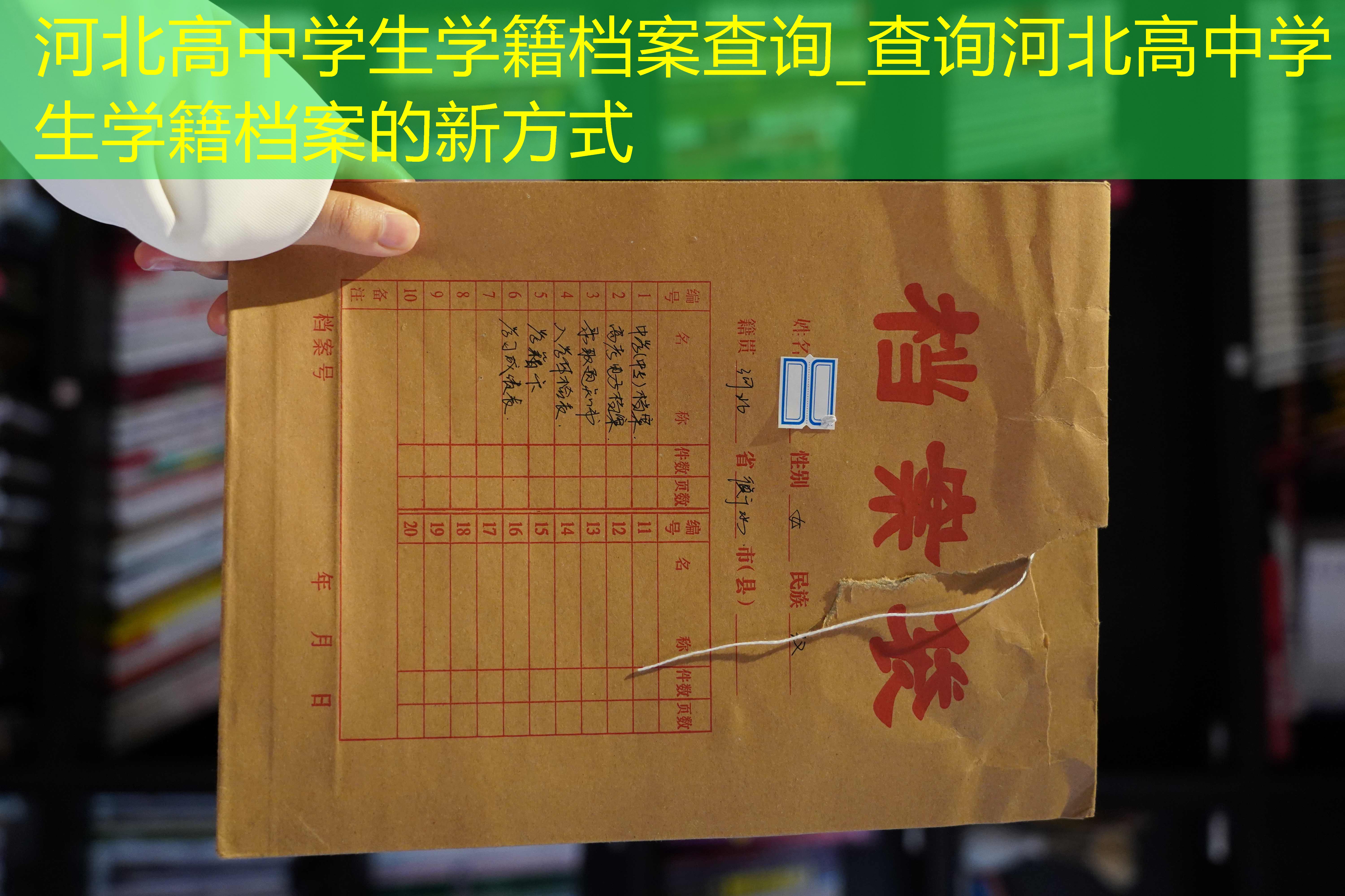 档案查询