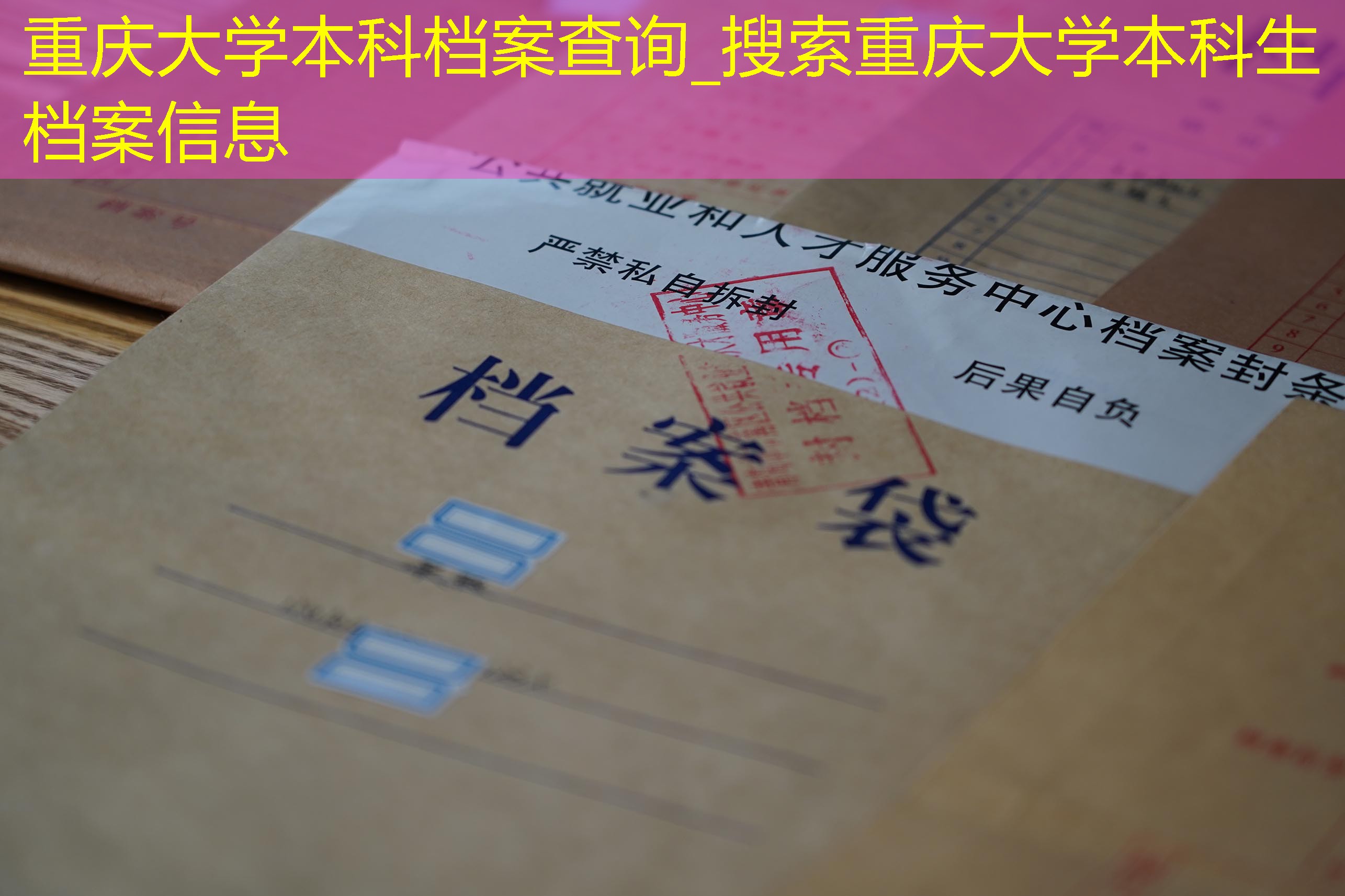 档案查询