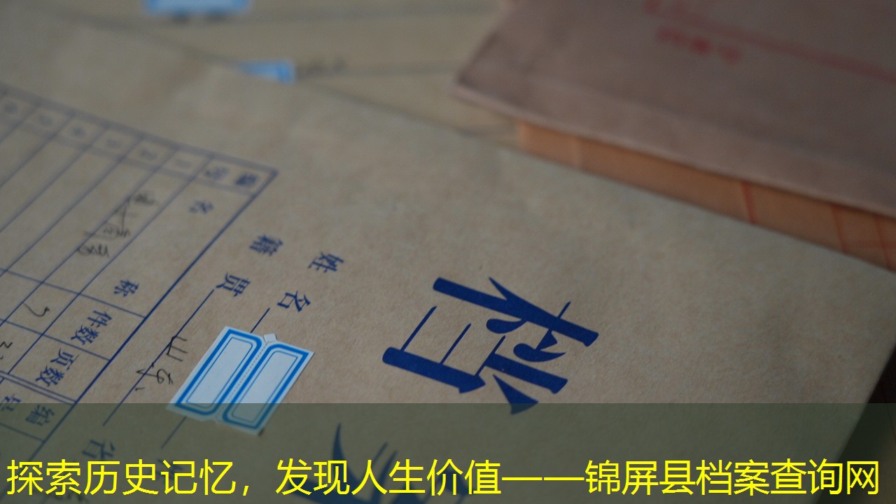 档案查询