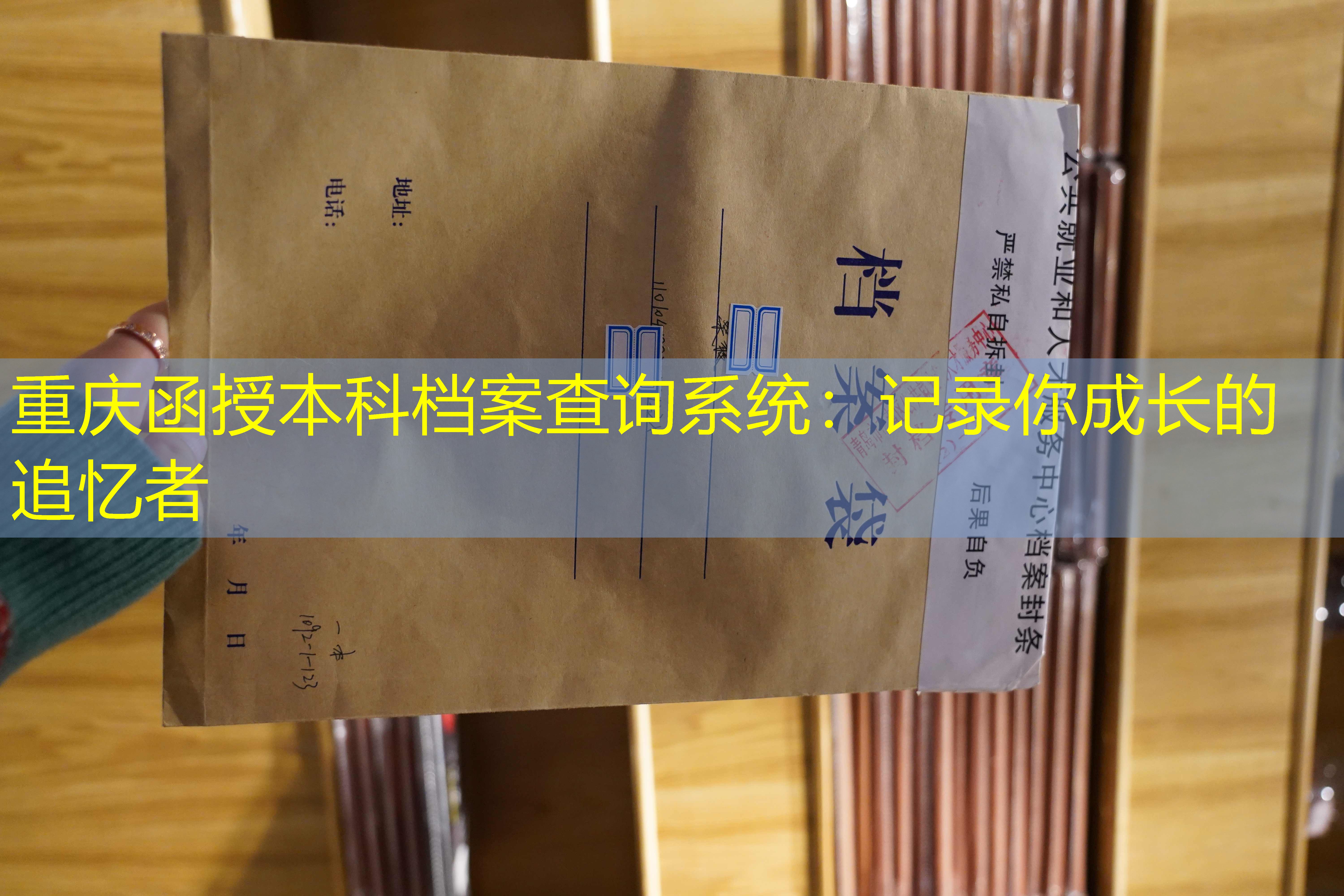 档案查询