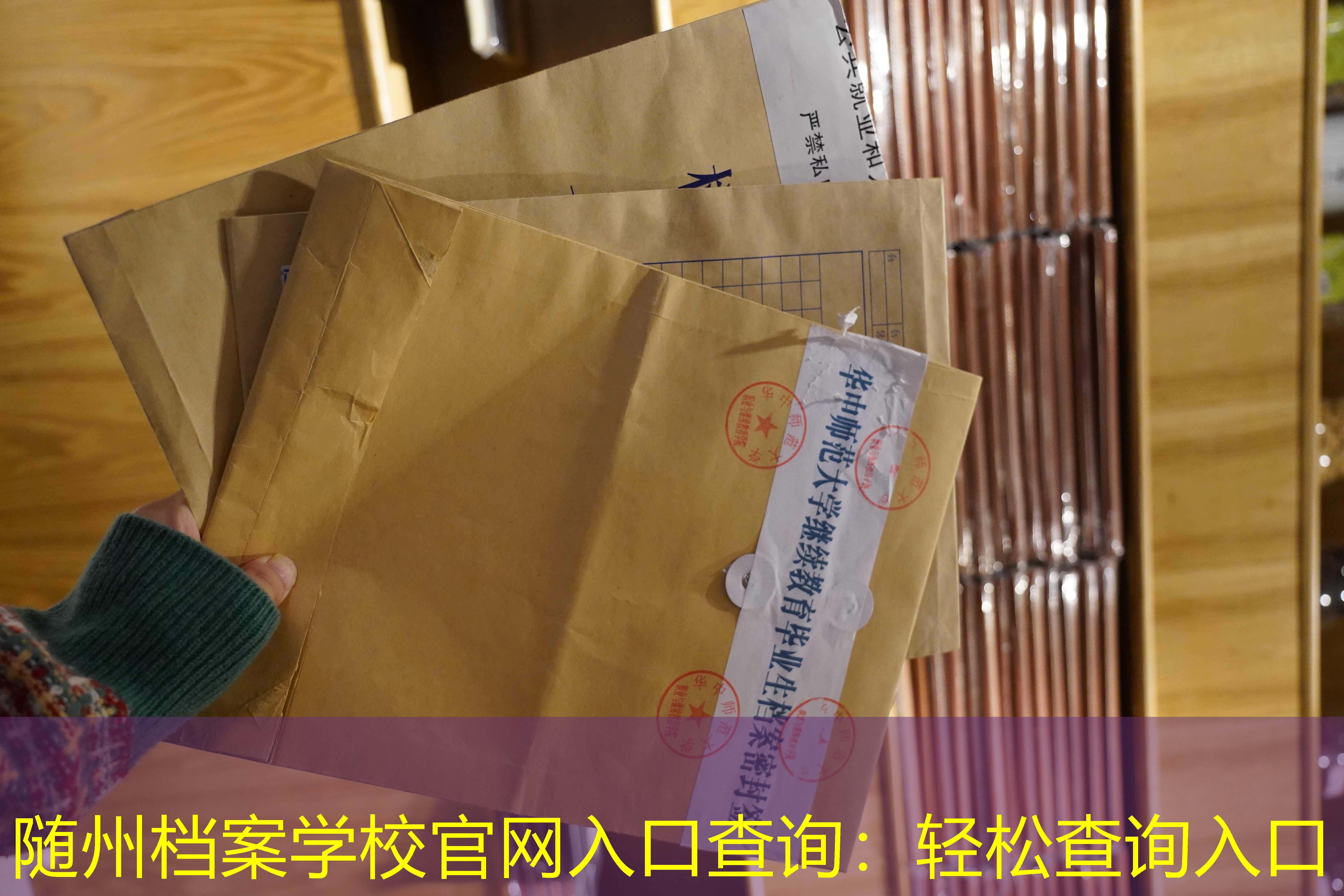 档案查询