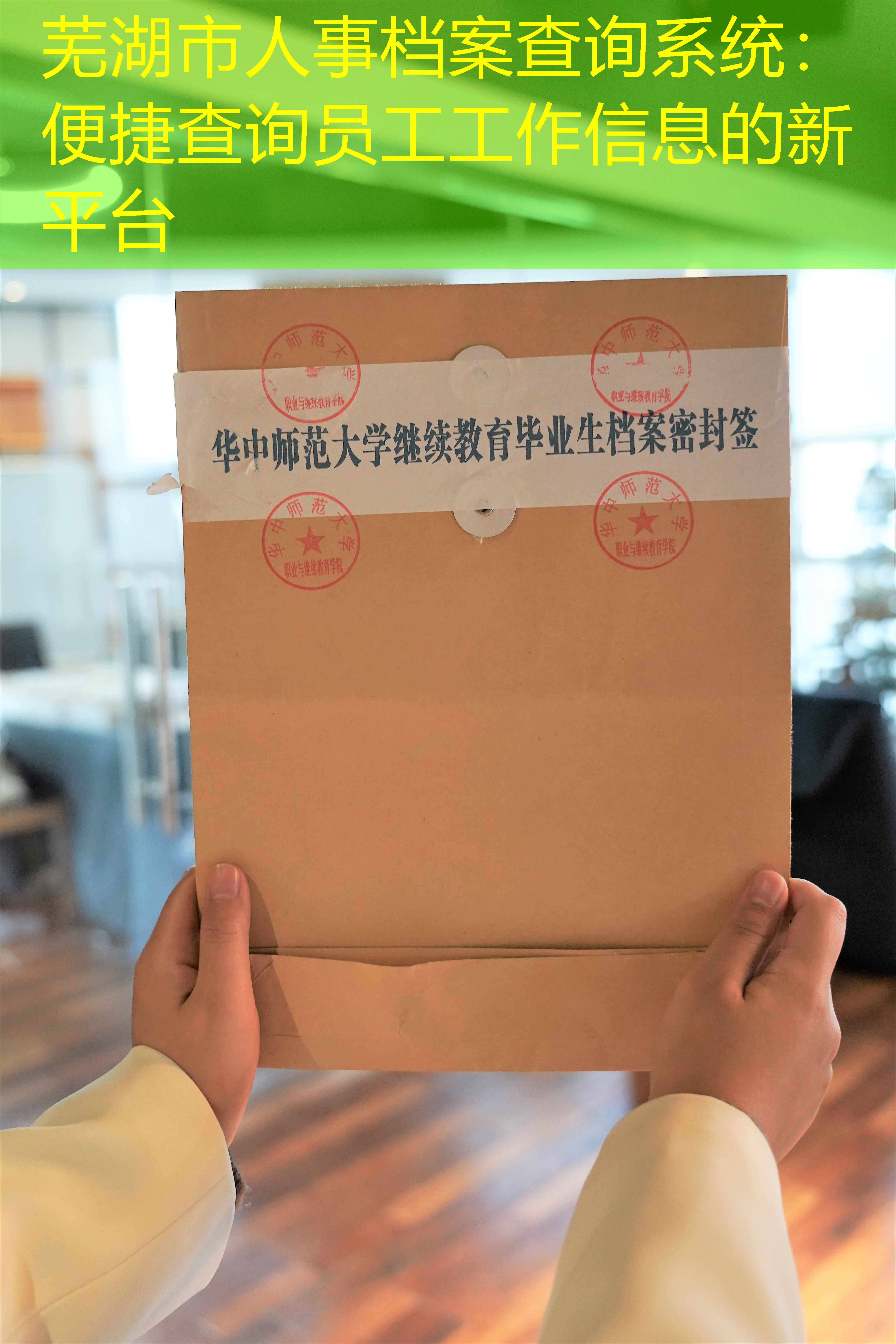 档案查询
