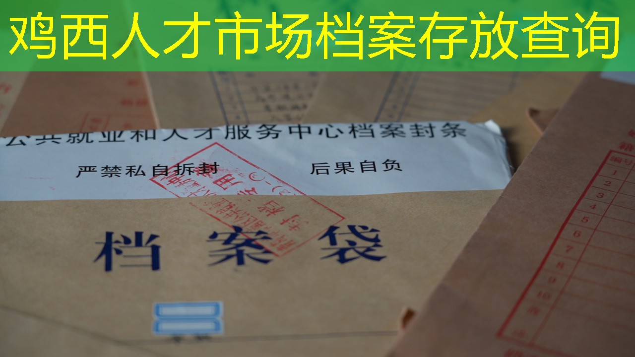 档案查询