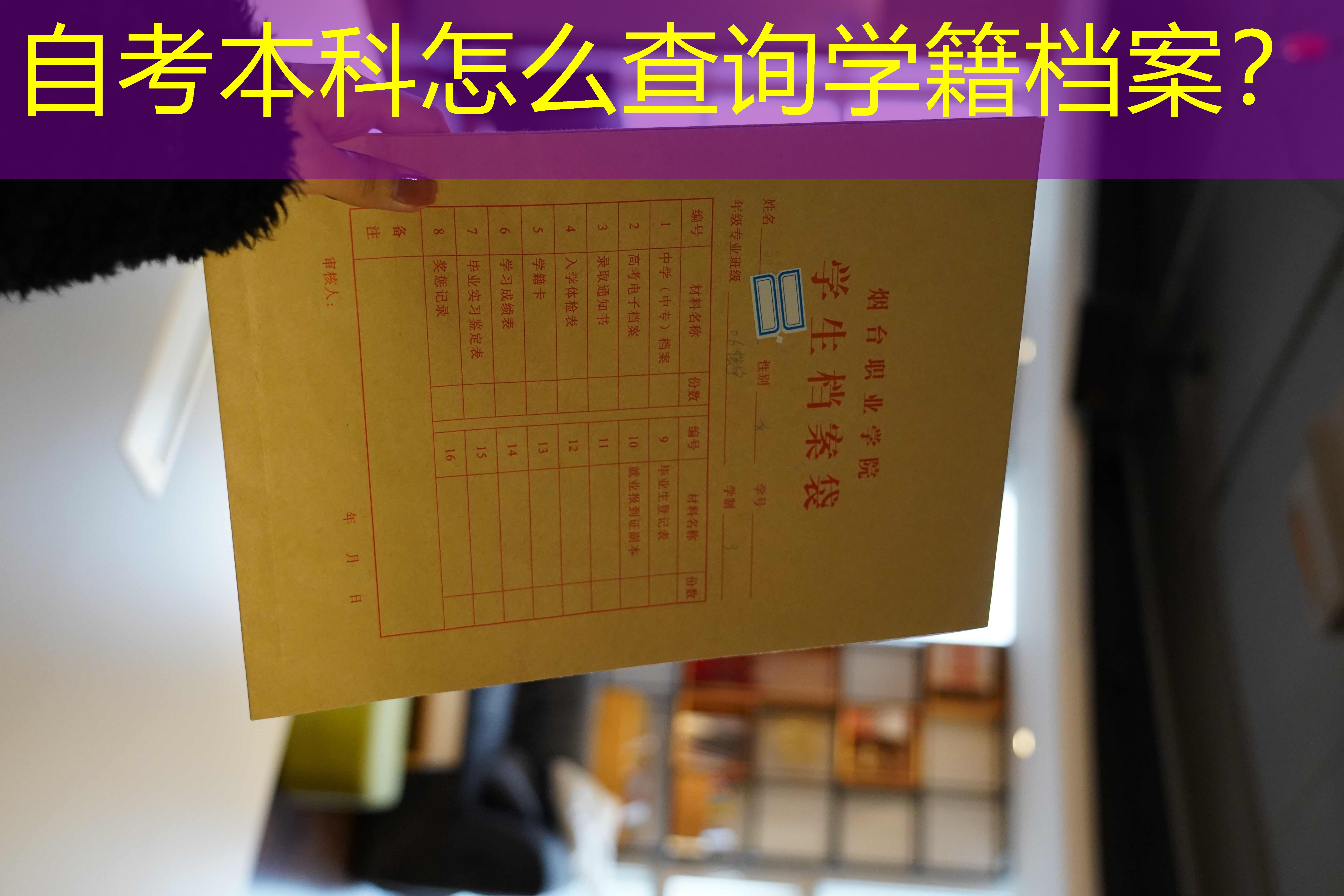 档案查询