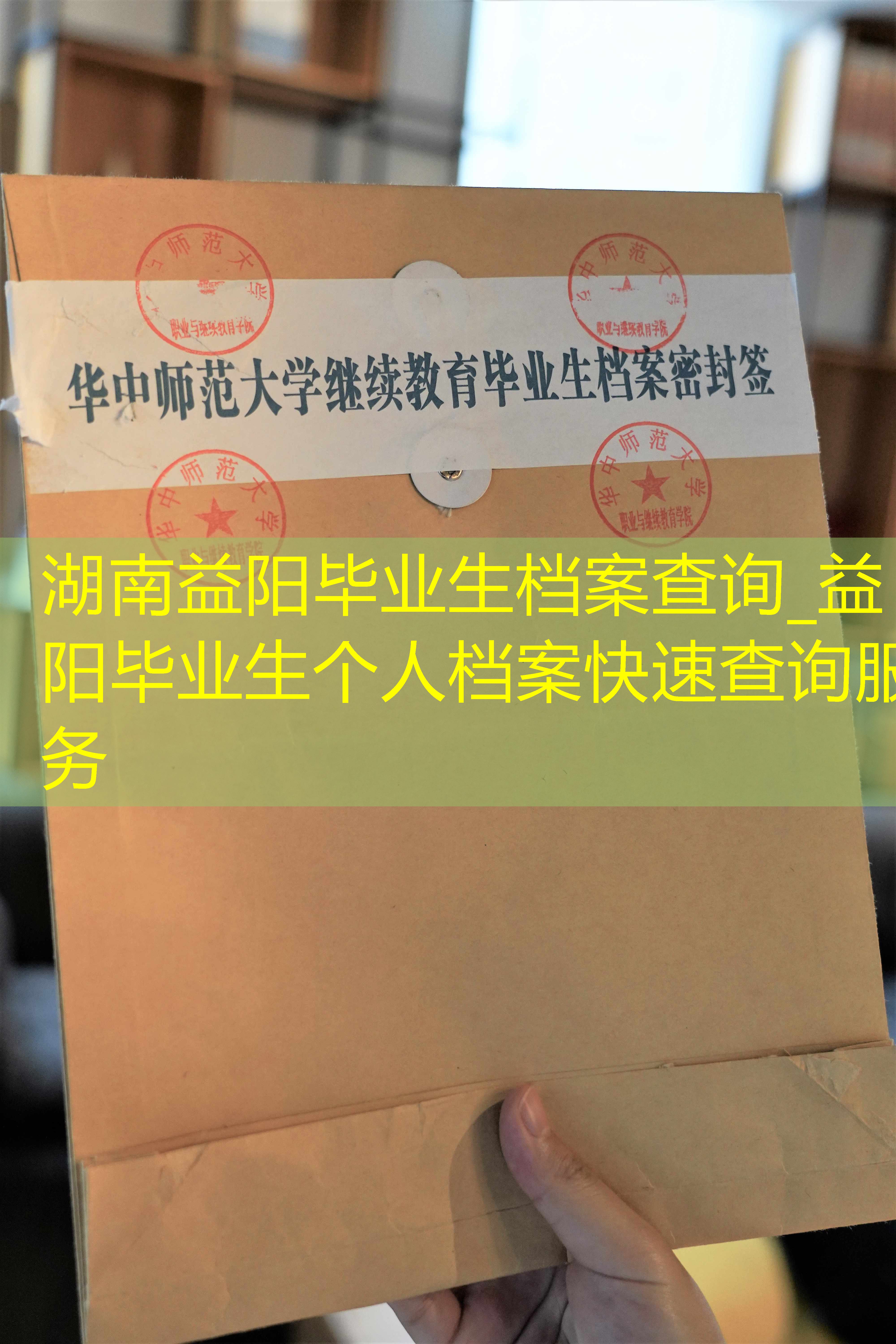 档案查询